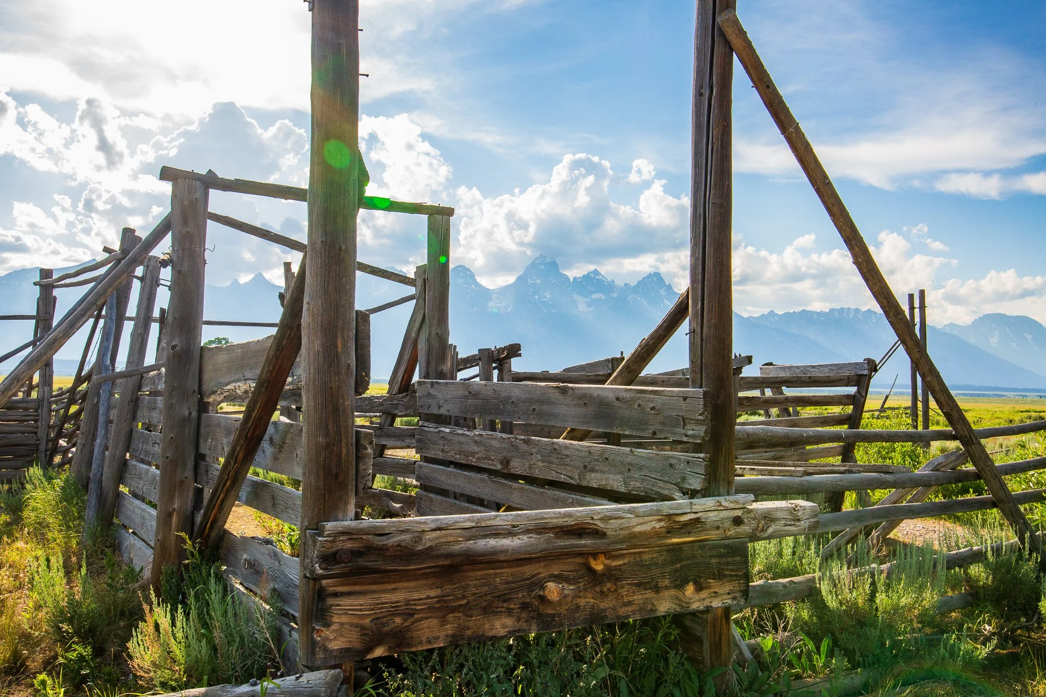 Tetons-7469.JPG