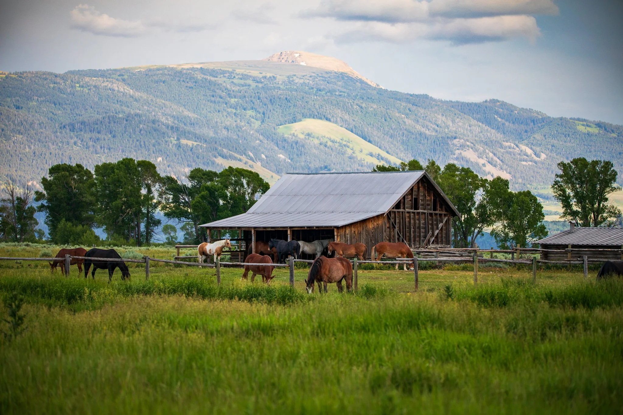 Tetons-8655.JPG