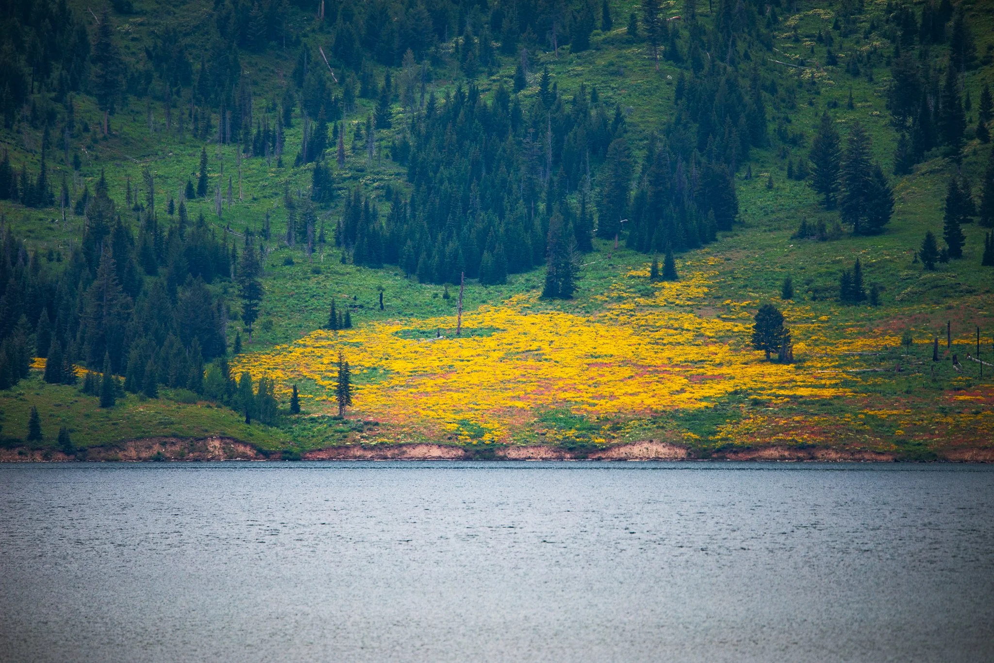 Tetons-8504.JPG