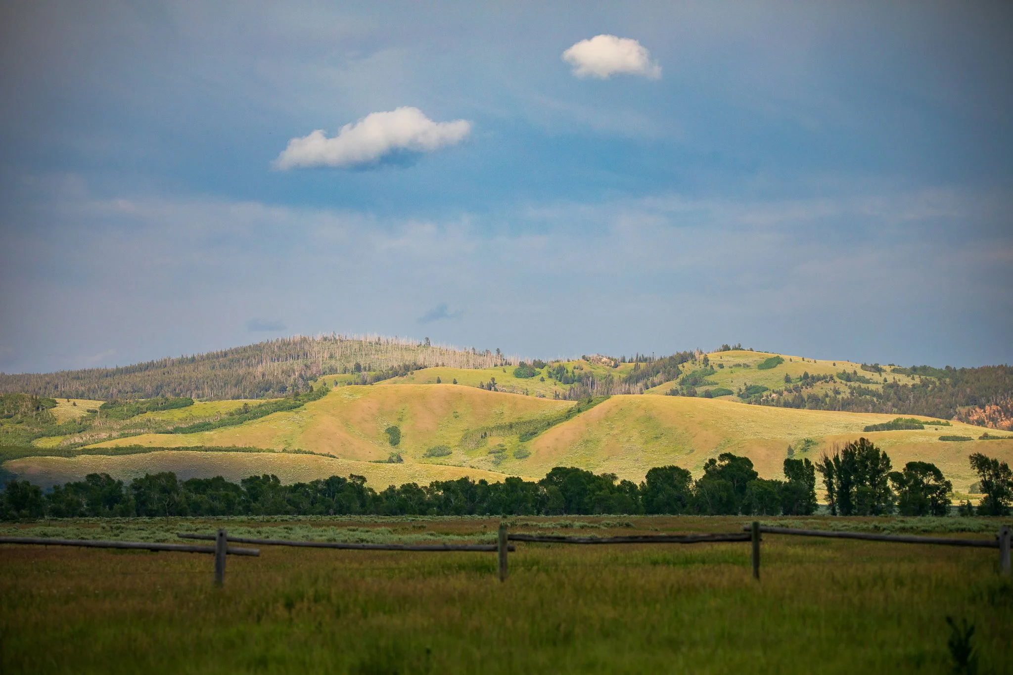 Tetons-8662.JPG