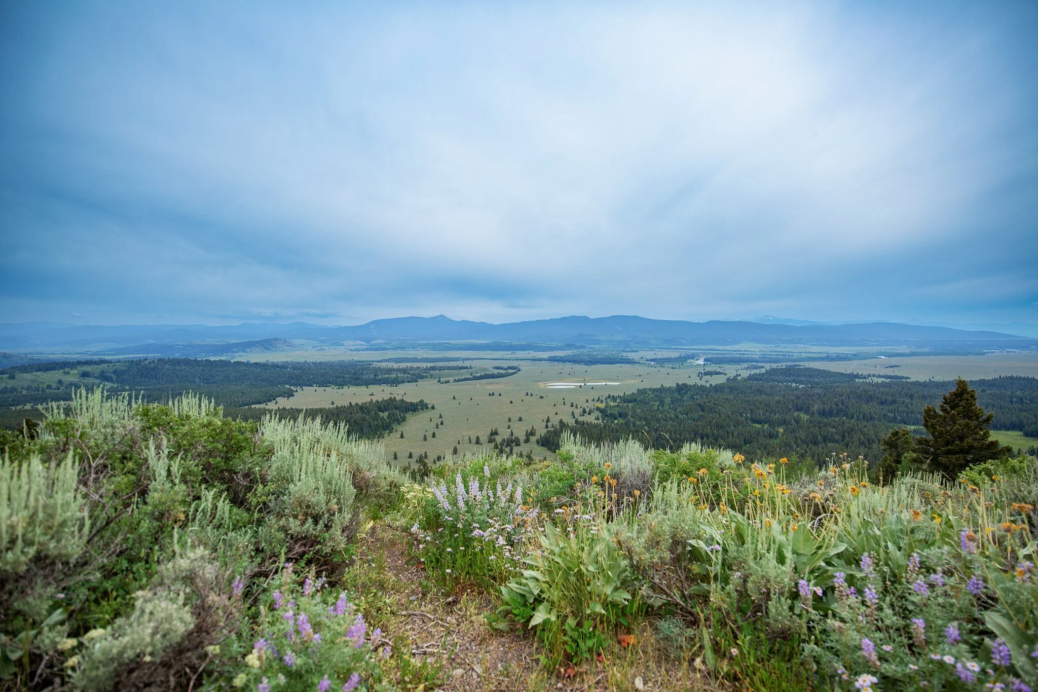 Tetons-7411.JPG