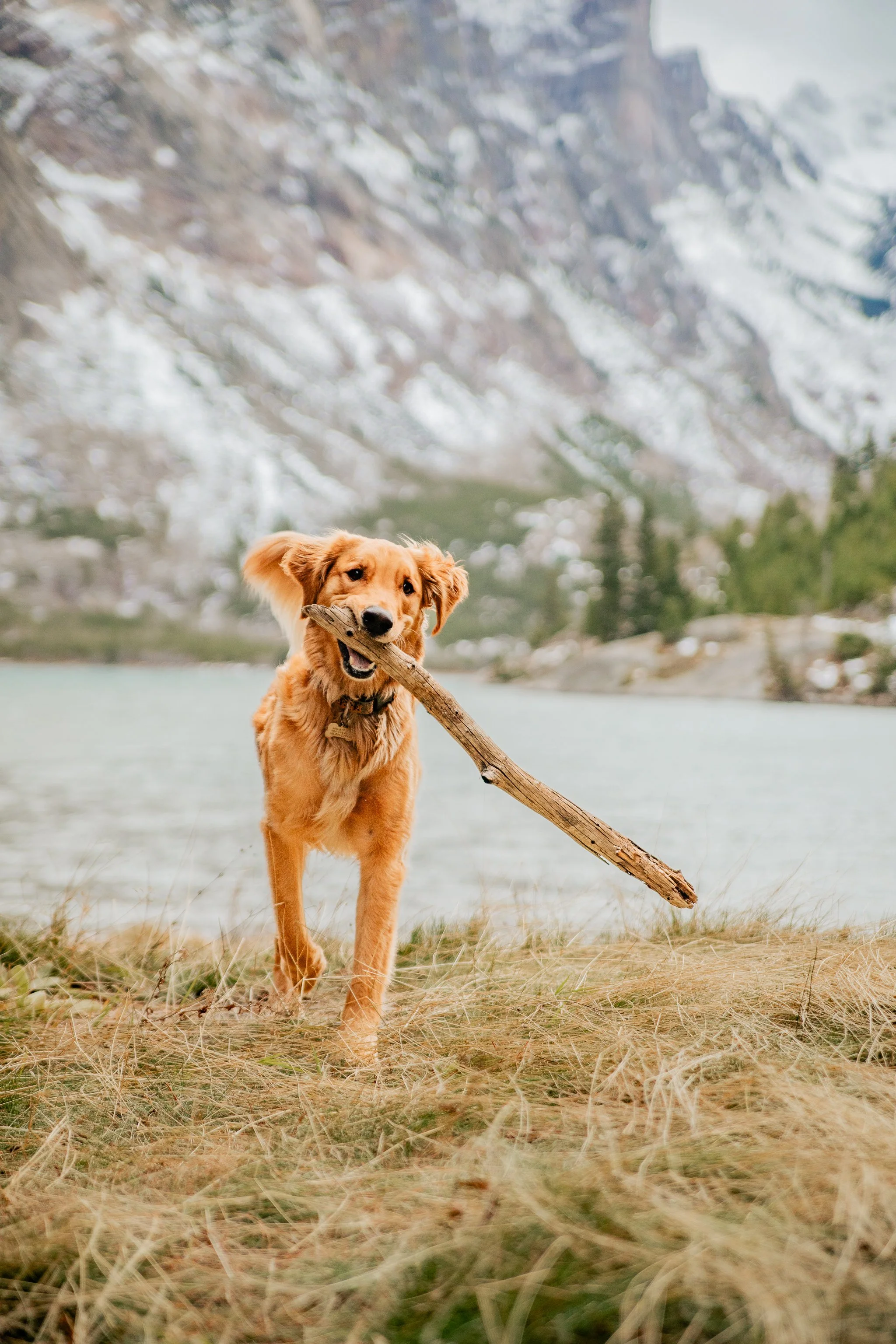 aprilstuartphotography (127 of 170).jpg