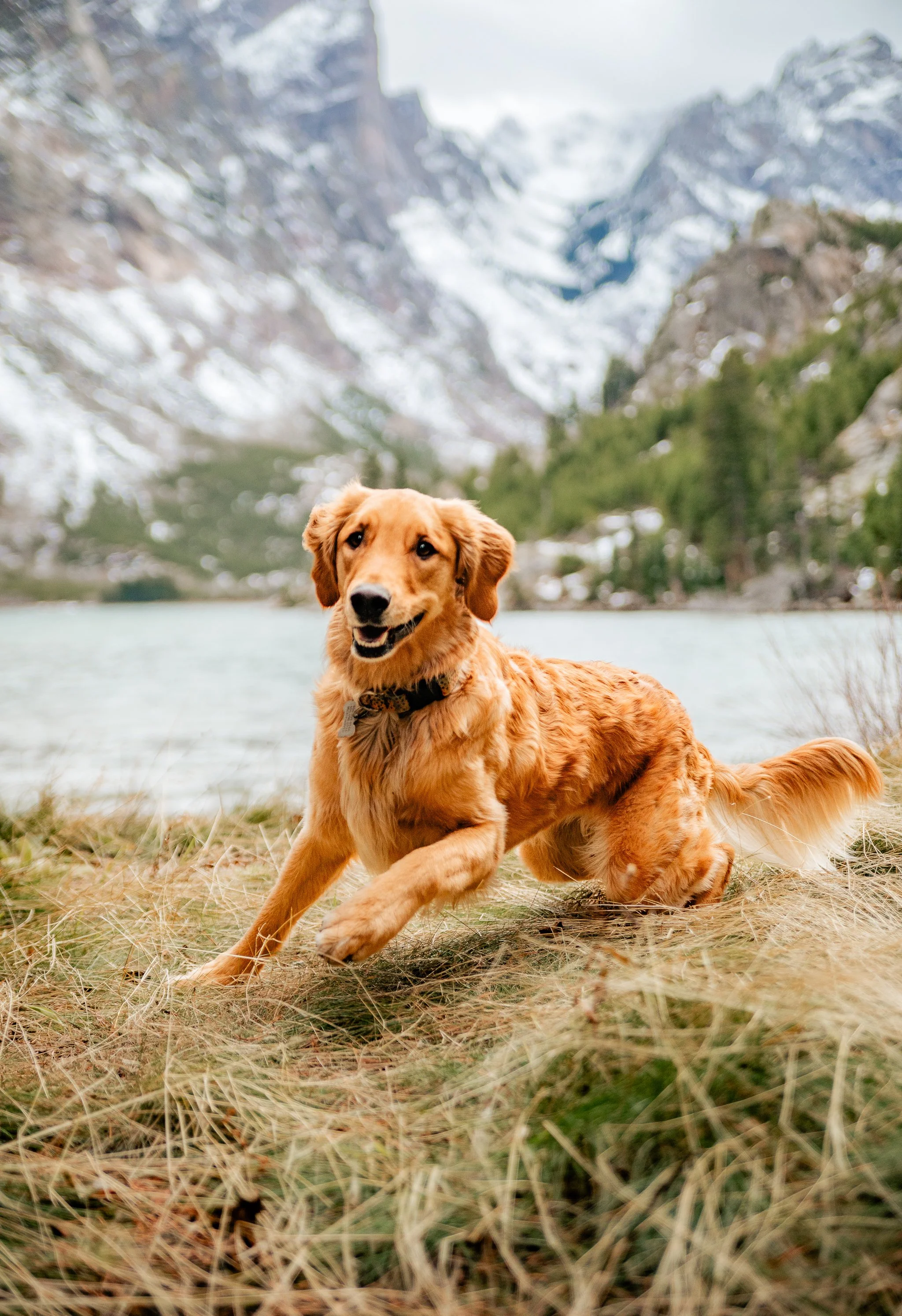 aprilstuartphotography (123 of 170).jpg