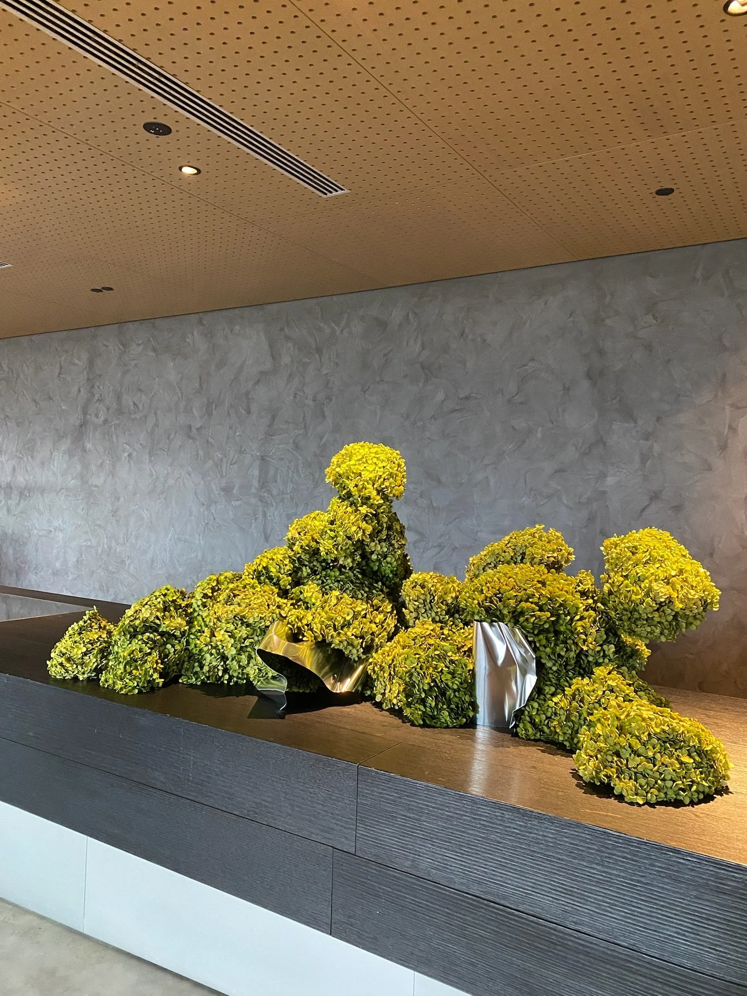 A large arrangement of yellow-green hydrangeas in metallic vases on a dark wooden shelf, with a textured gray wall and a wooden ceiling with vents and small lights in the background.