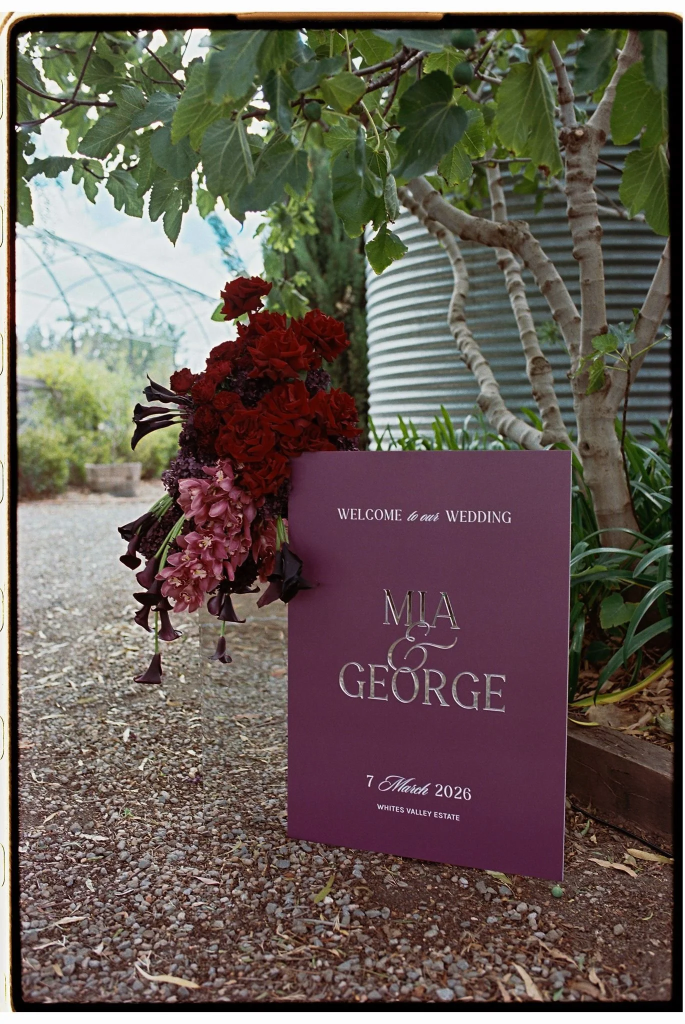 mia-george-35mm-54_websize.jpg