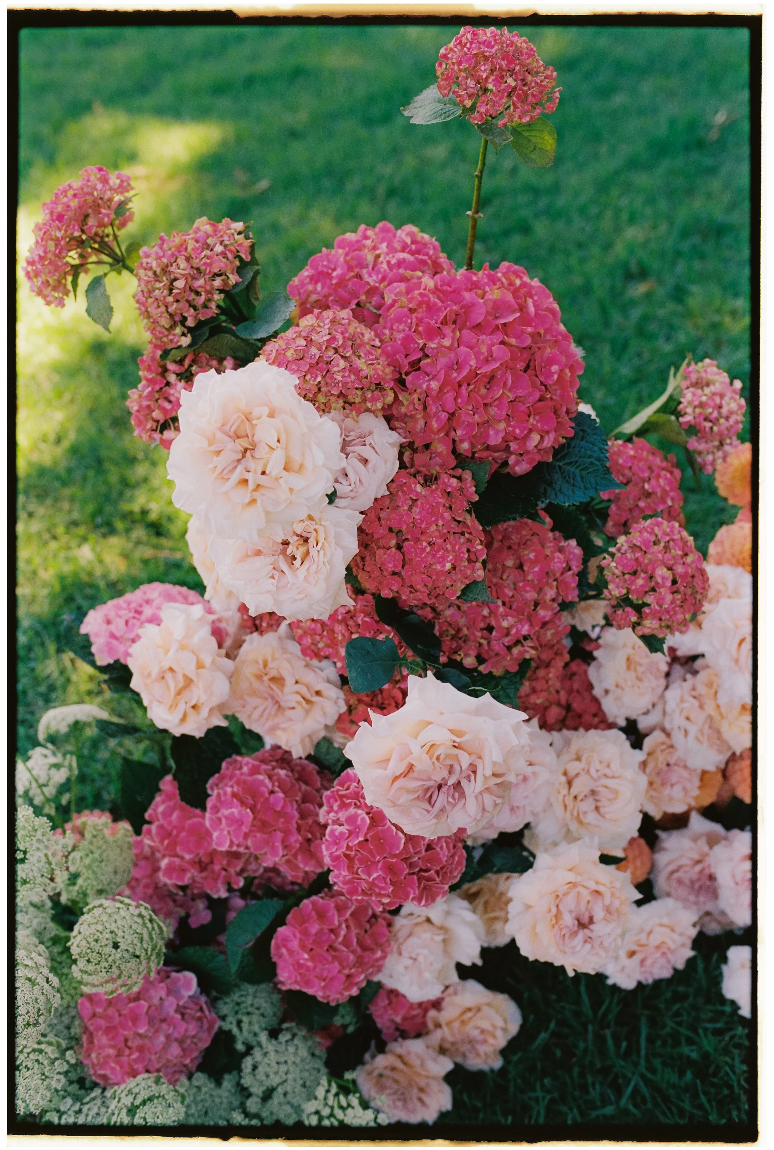 A colorful bouquet of pink, cream, and green hydrangea flowers arranged outdoors on a grassy background.