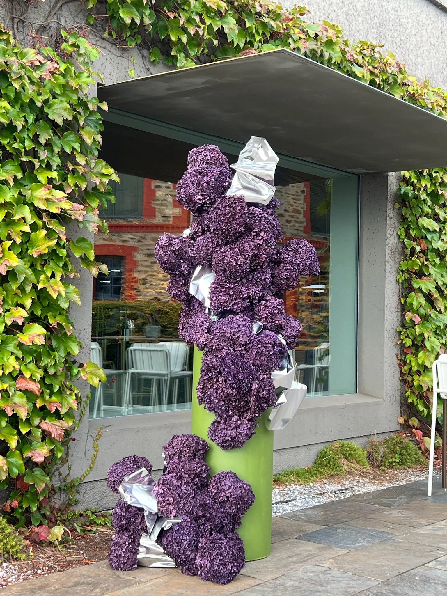 A floral display with purple hydrangeas in a tall green vase, decorated with silver wrapping, placed outside a building with large glass window and ivy-covered walls.