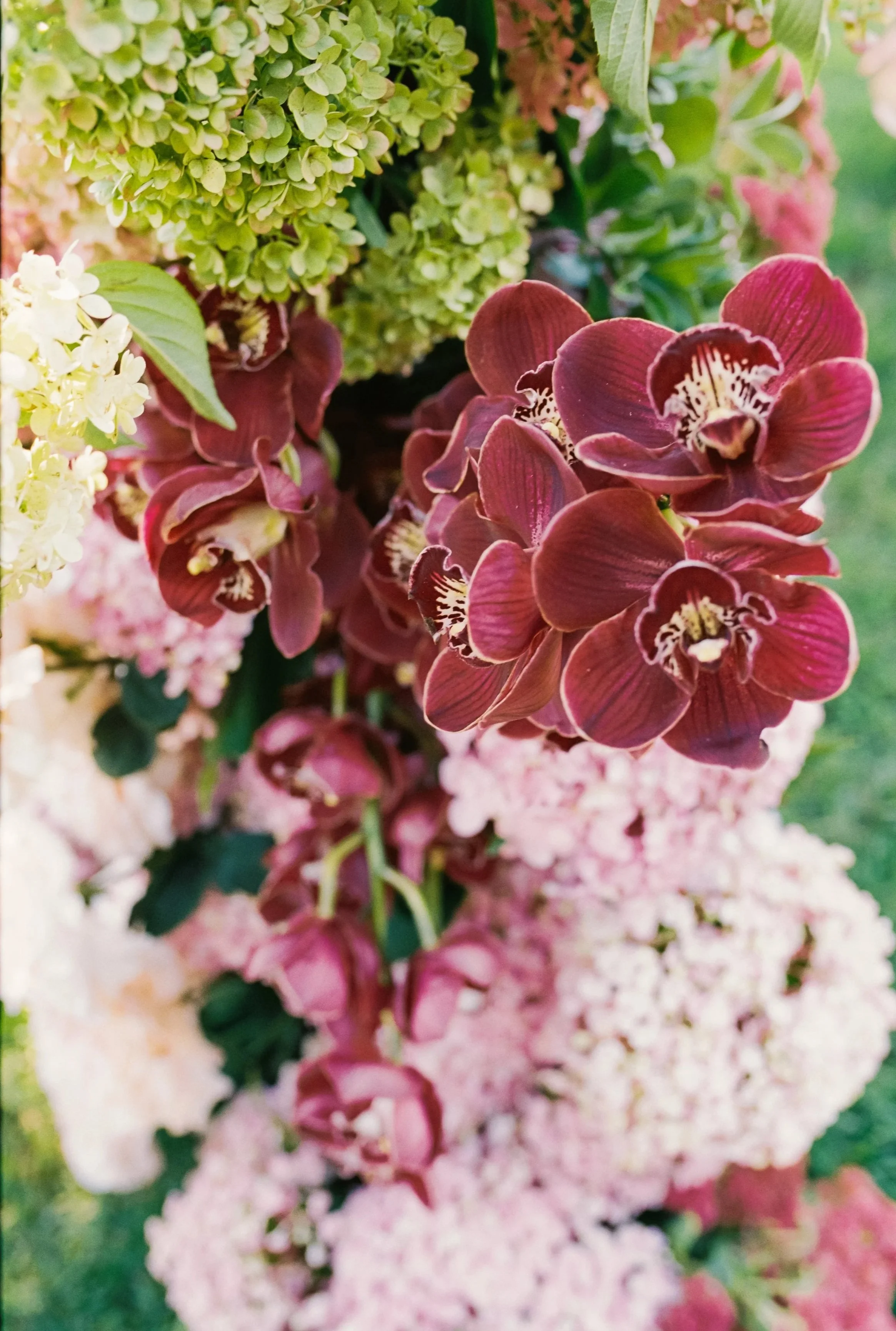 Close-up of pink and green hydrangea flowers with some greenery in the background.