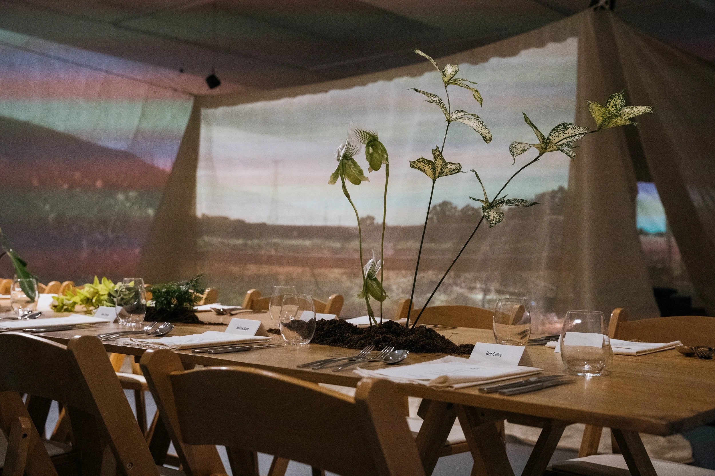 Table setting at a banquet with a centerpiece of plants, and a large projection of a landscape on the wall in the background.