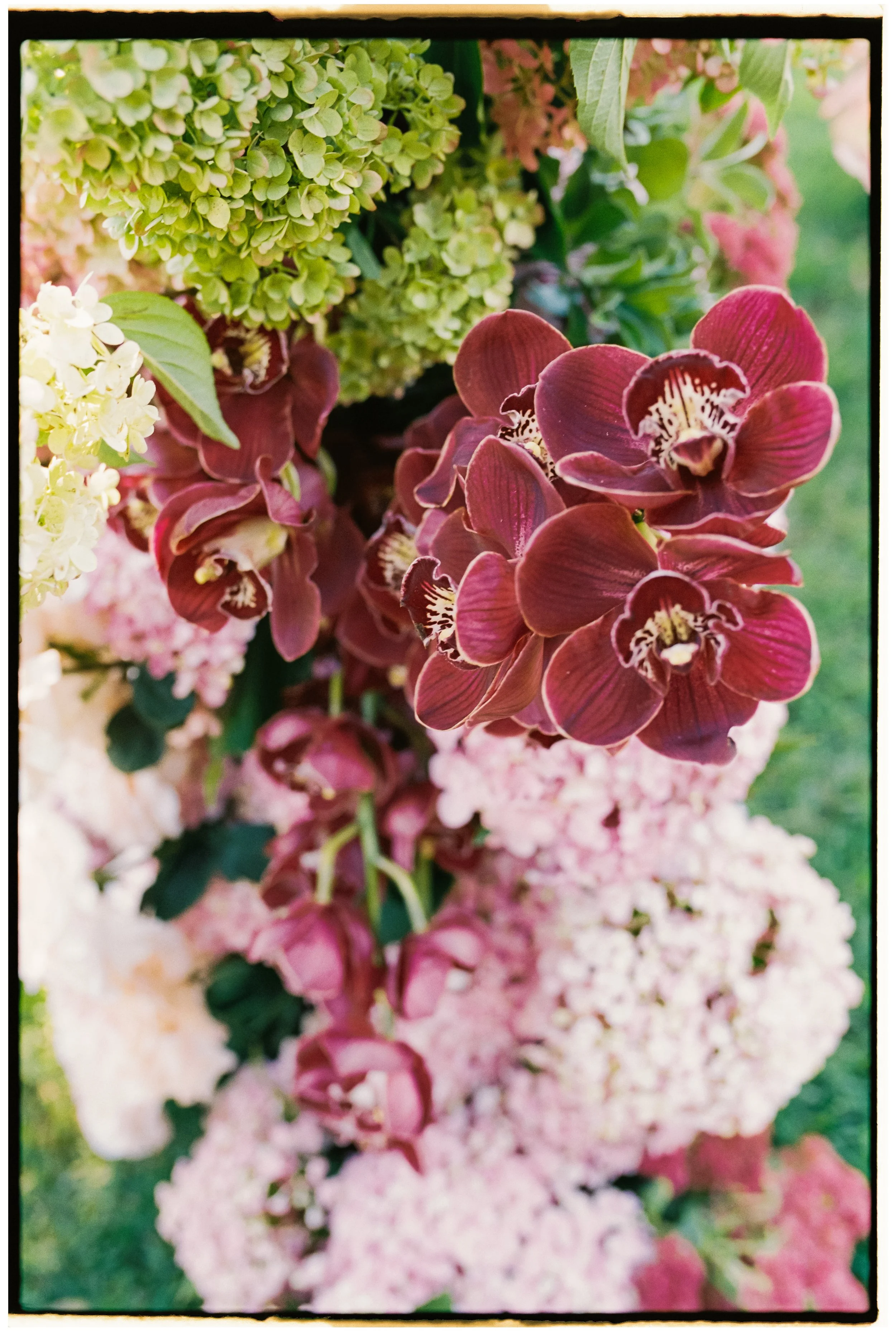 Close-up of pink and green flowers, including hydrangeas and orchids, with green leaves in the background.