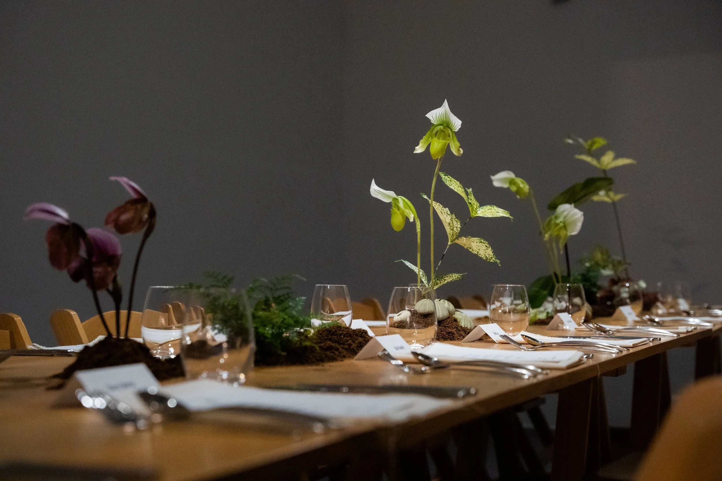 A table decorated with plants, including orchids, and place settings with glasses and cutlery in a formal dining setting.
