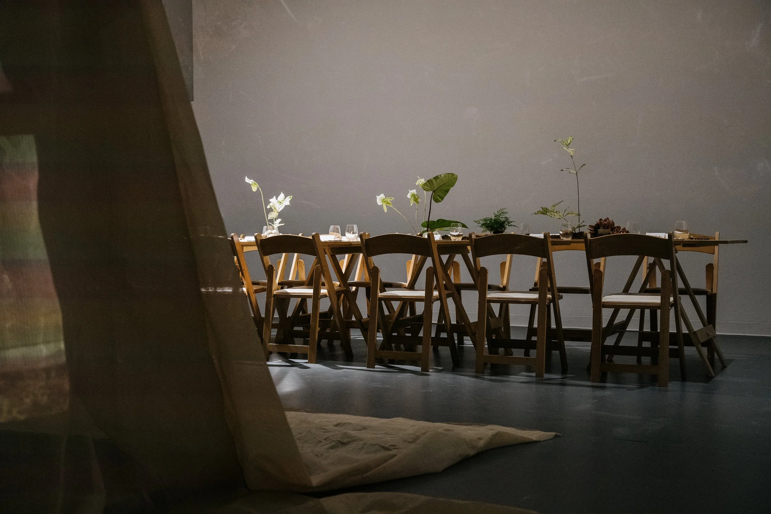 Empty dining table with wooden chairs and plants in a dimly lit room, viewed from a partially obscured angle.