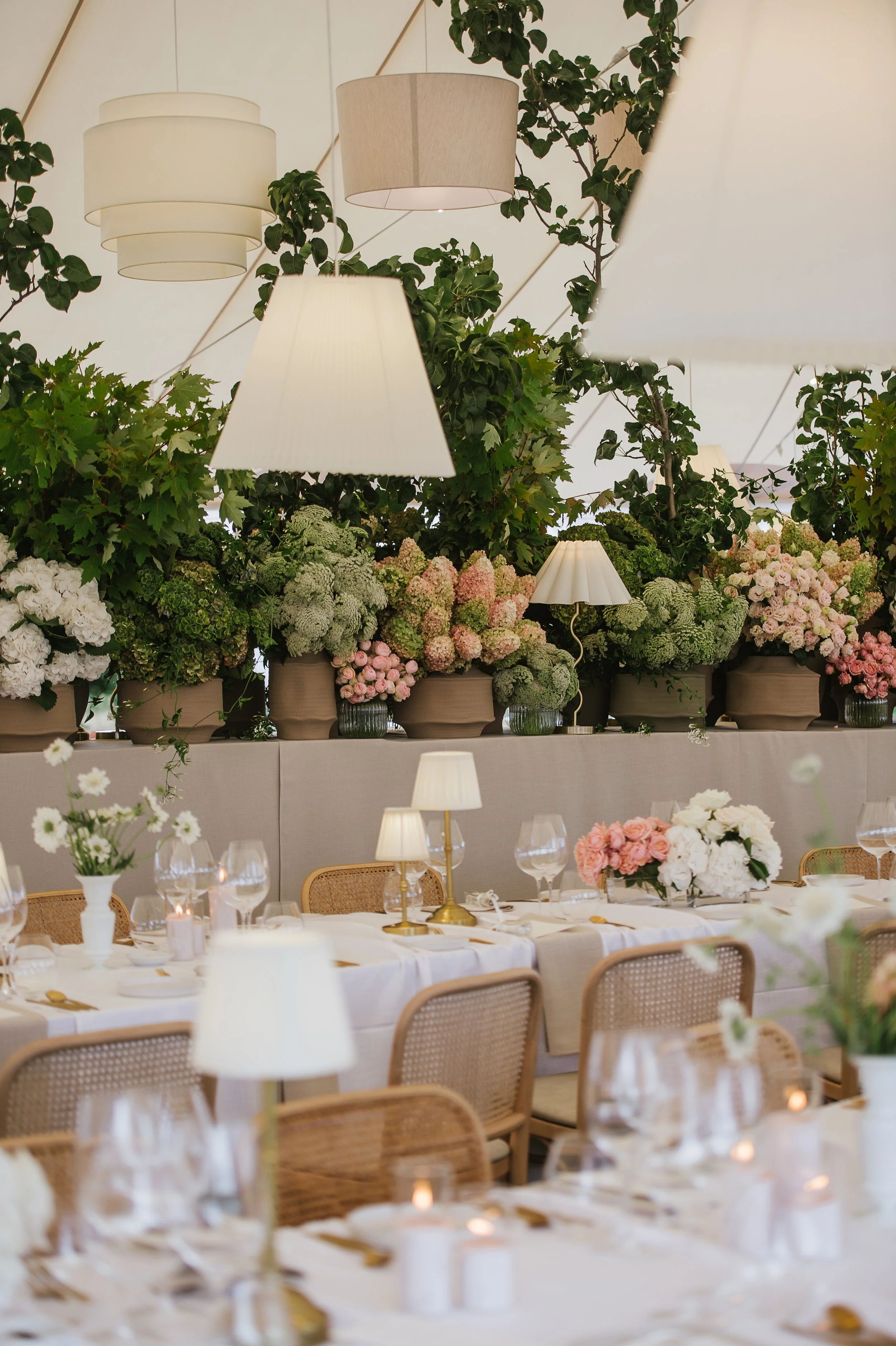 Studio Botanic - Chalk Hill - 21.02.26-175.jpg