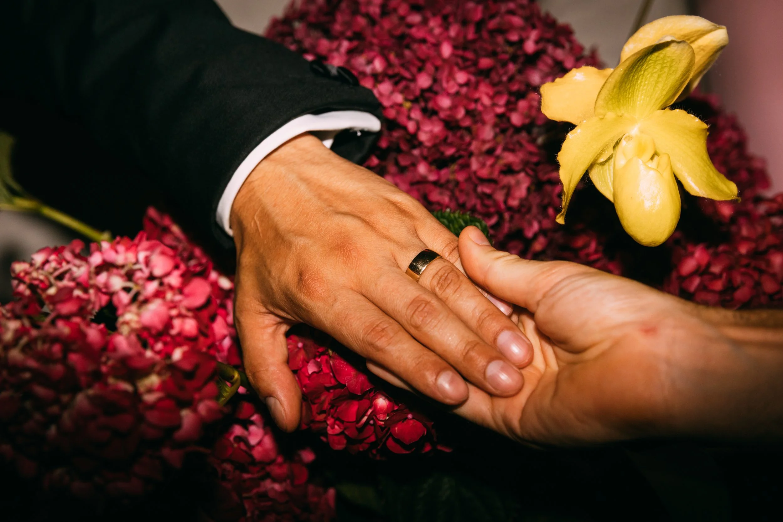 Two hands gently holding each other, surrounded by vibrant pink flowers and a yellow orchid, with one hand wearing a black coat and a white shirt sleeve.