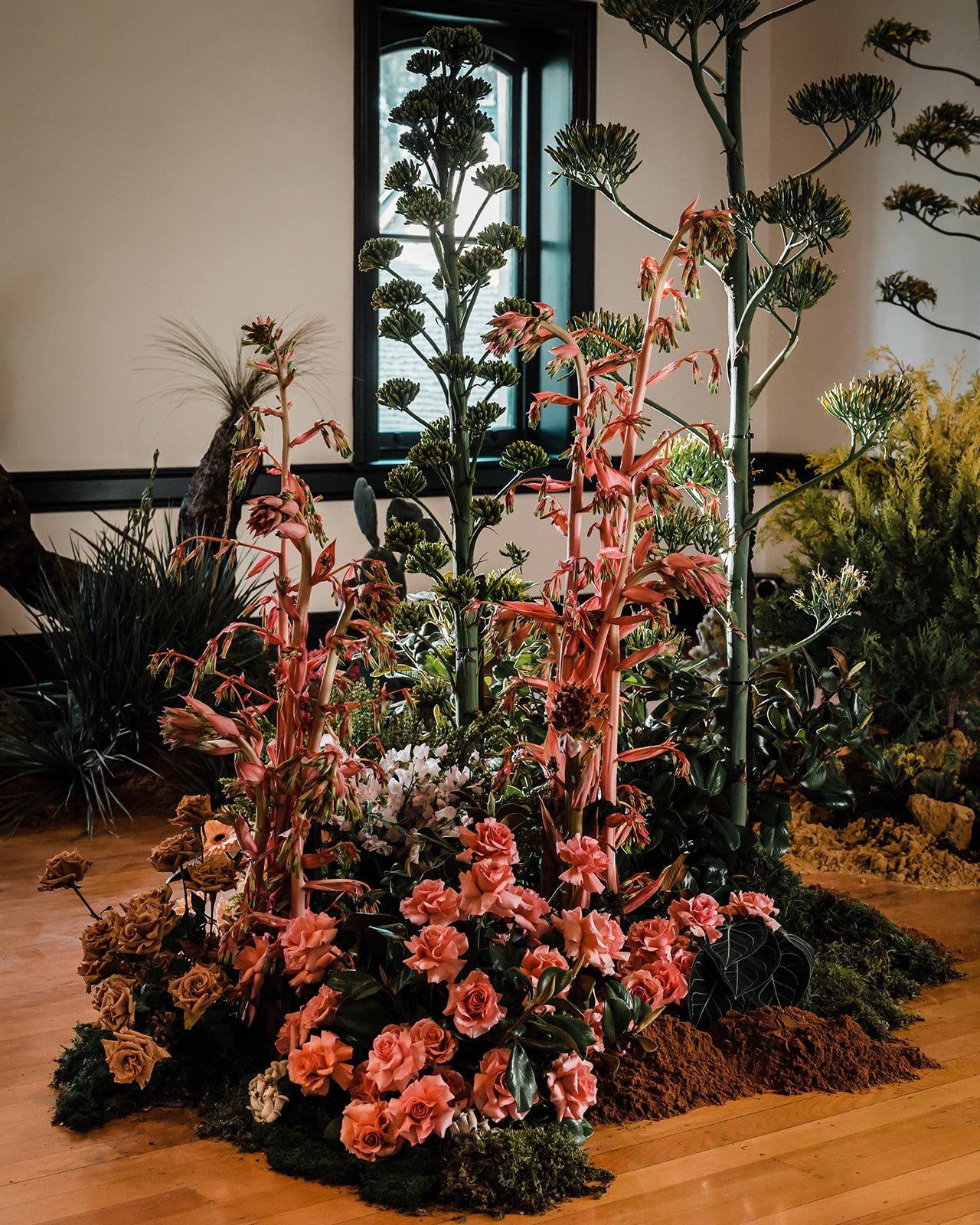Indoor display of various green and flowering plants on a bed of soil, with a window in the background.