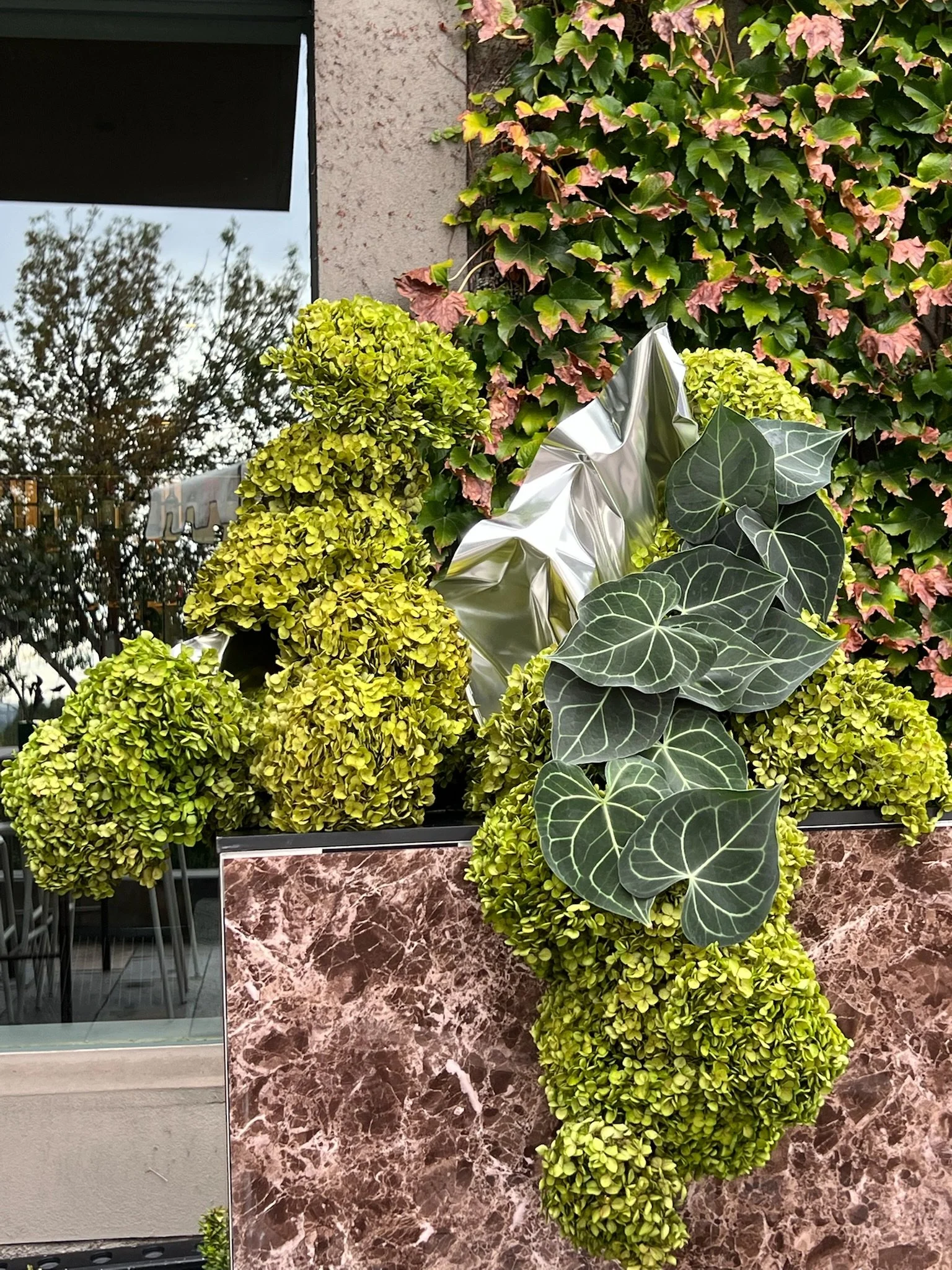Display of various green and yellow plants, including ivy and hydrangeas, with a marble-patterned base and a reflective surface in the background.