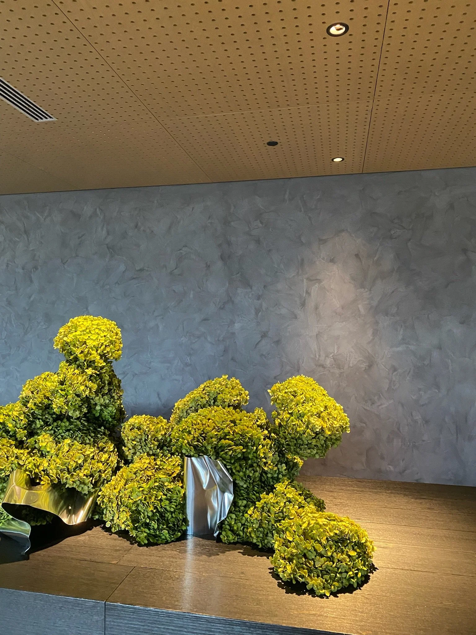 Yellow-green hydrangea flowers in metallic vases placed on wooden surface against a textured gray wall with a perforated brown ceiling and small spotlights.