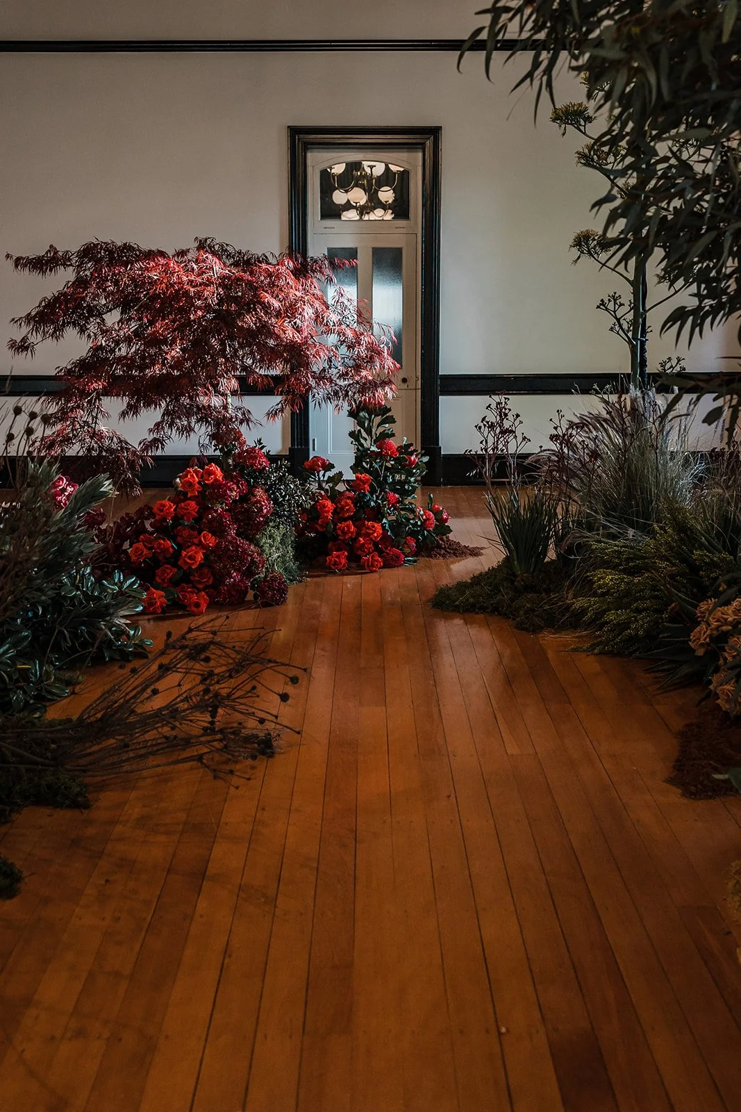 Indoor botanical display with a variety of red and green plants, including a red Japanese maple, roses, and other foliage, on a wooden floor against a wall with a door and window.