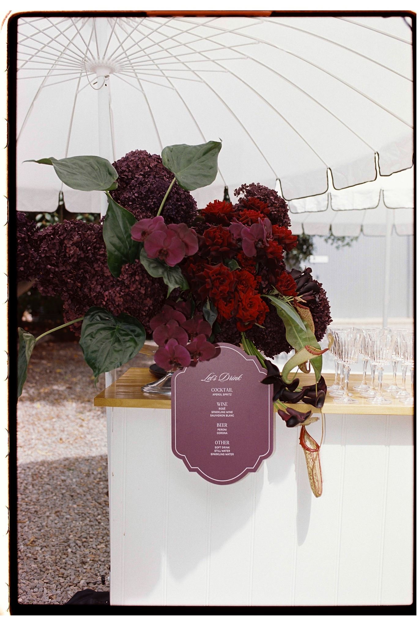 mia-george-35mm-102_websize.jpg