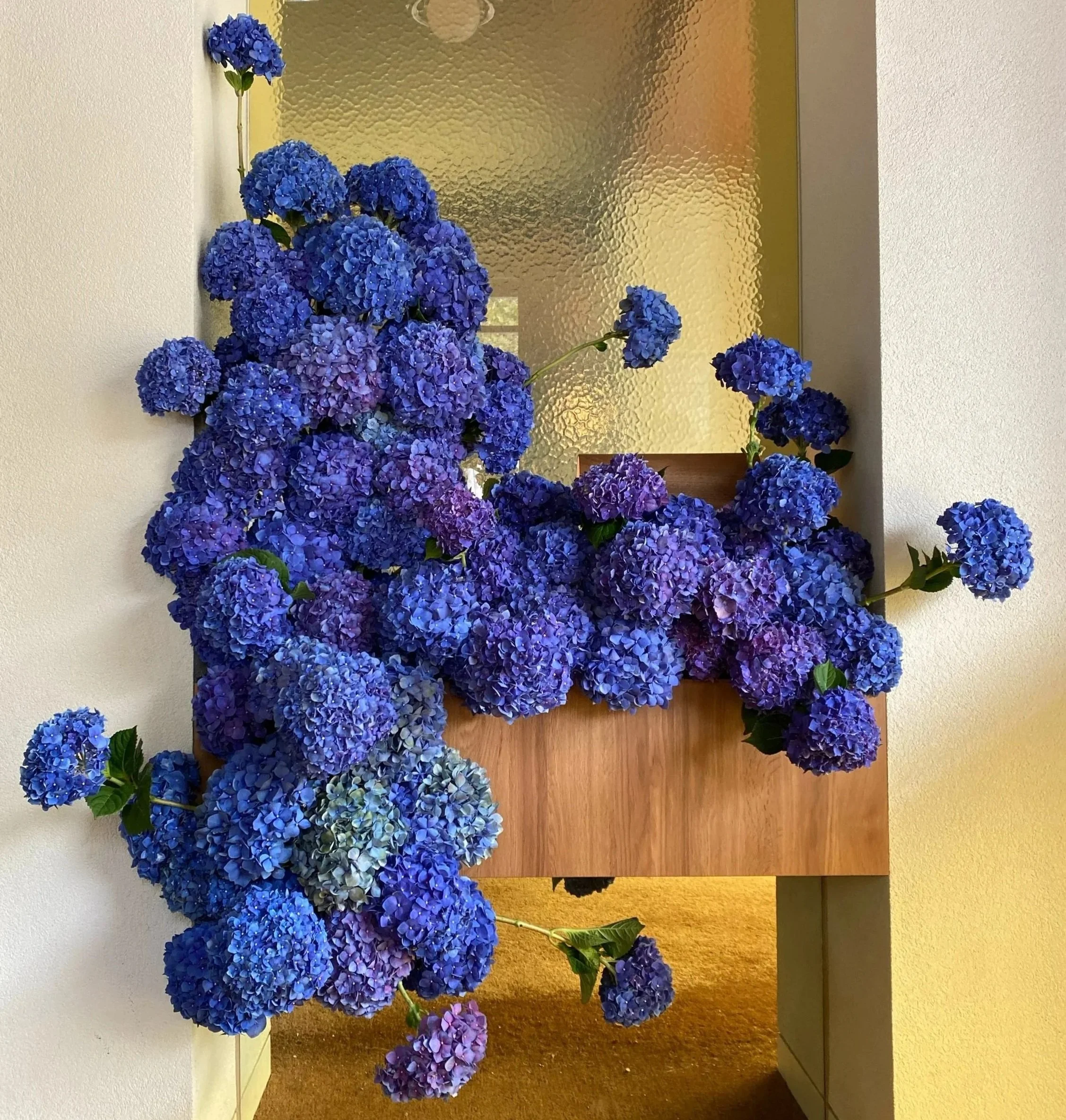 Blue and purple hydrangea flowers arranged indoors next to a textured glass window and white wall.
