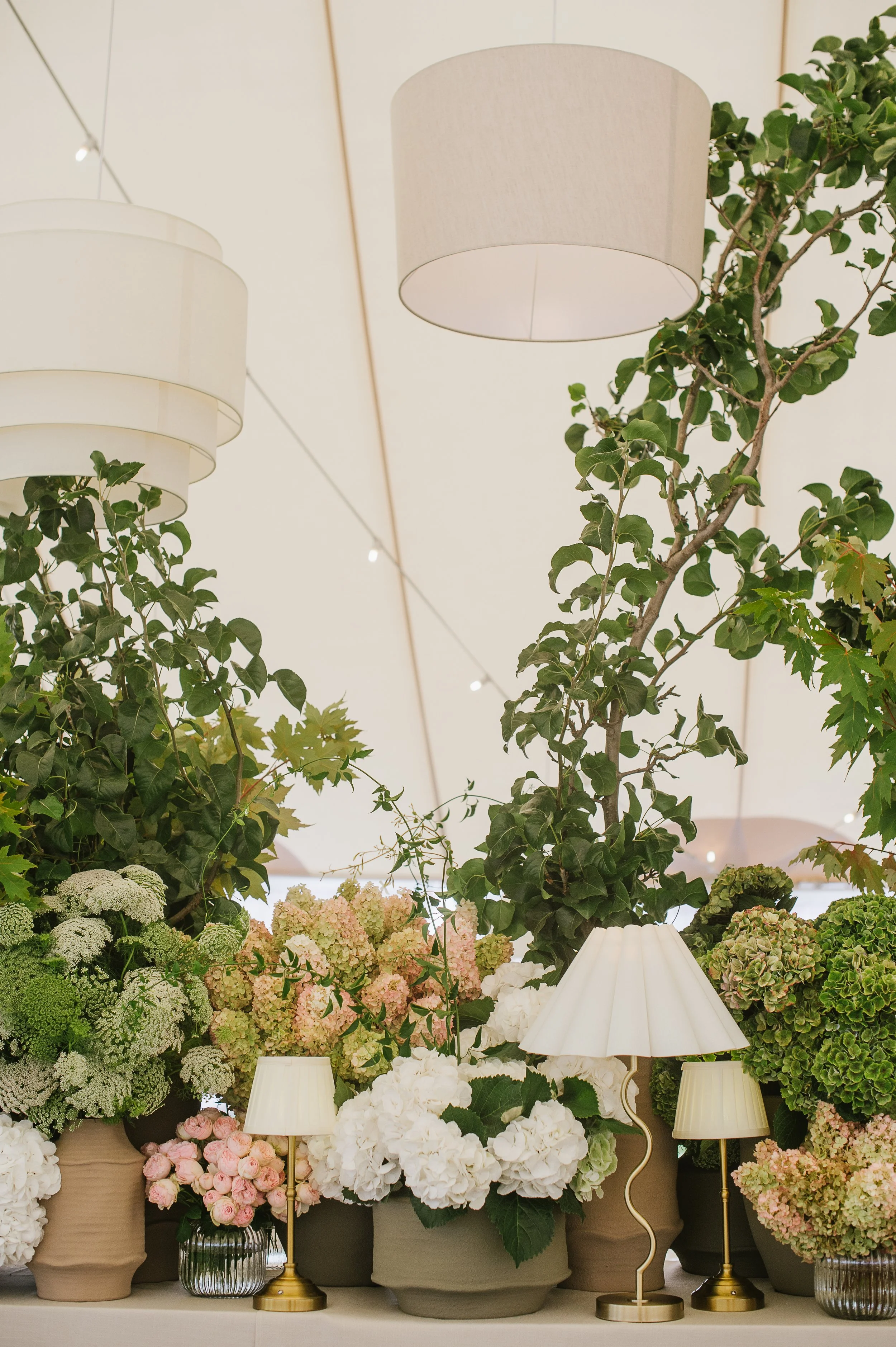 Studio Botanic - Chalk Hill - 21.02.26-155.jpg