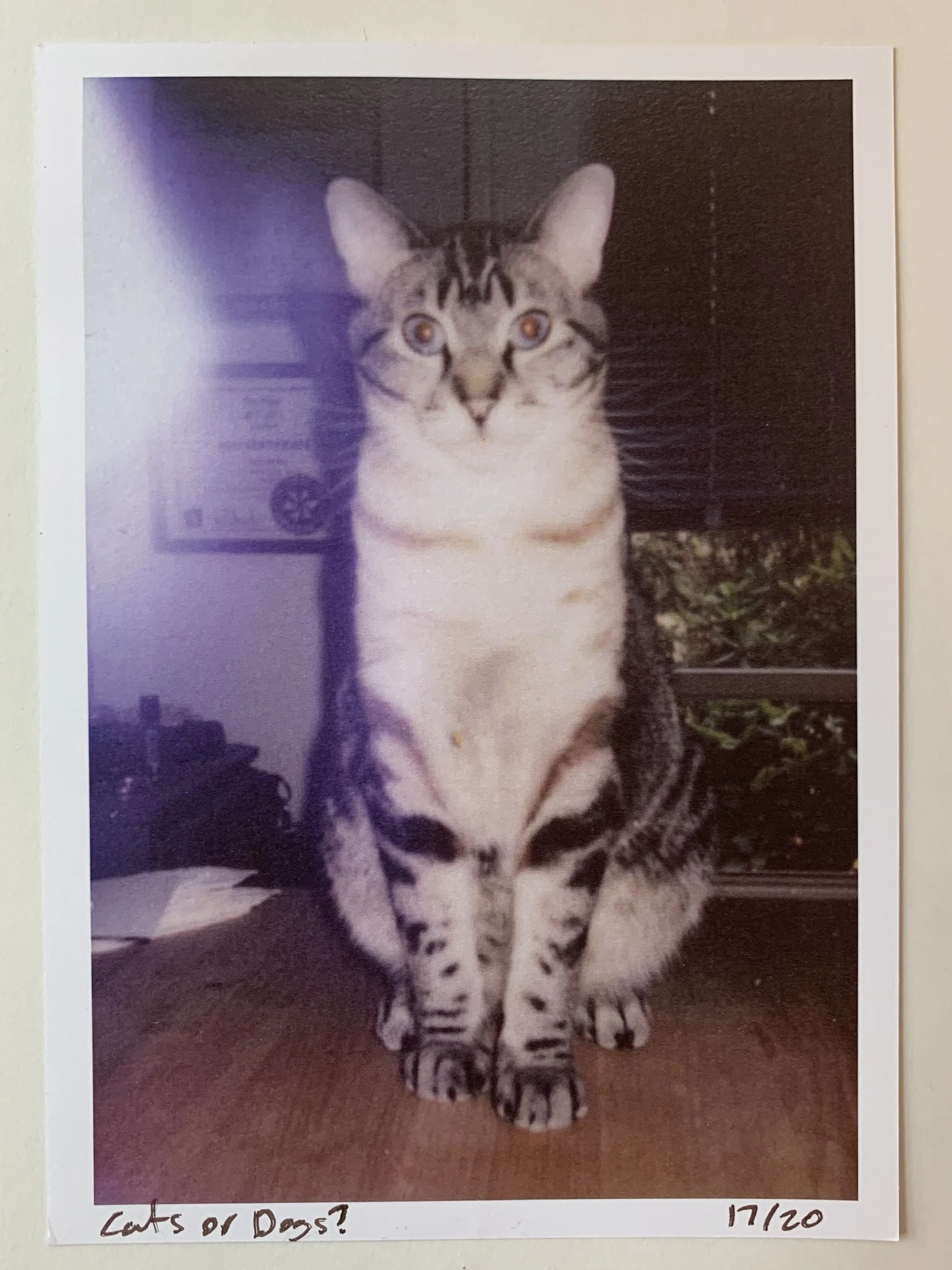 Ole Stockly and Stephanie Colasanti