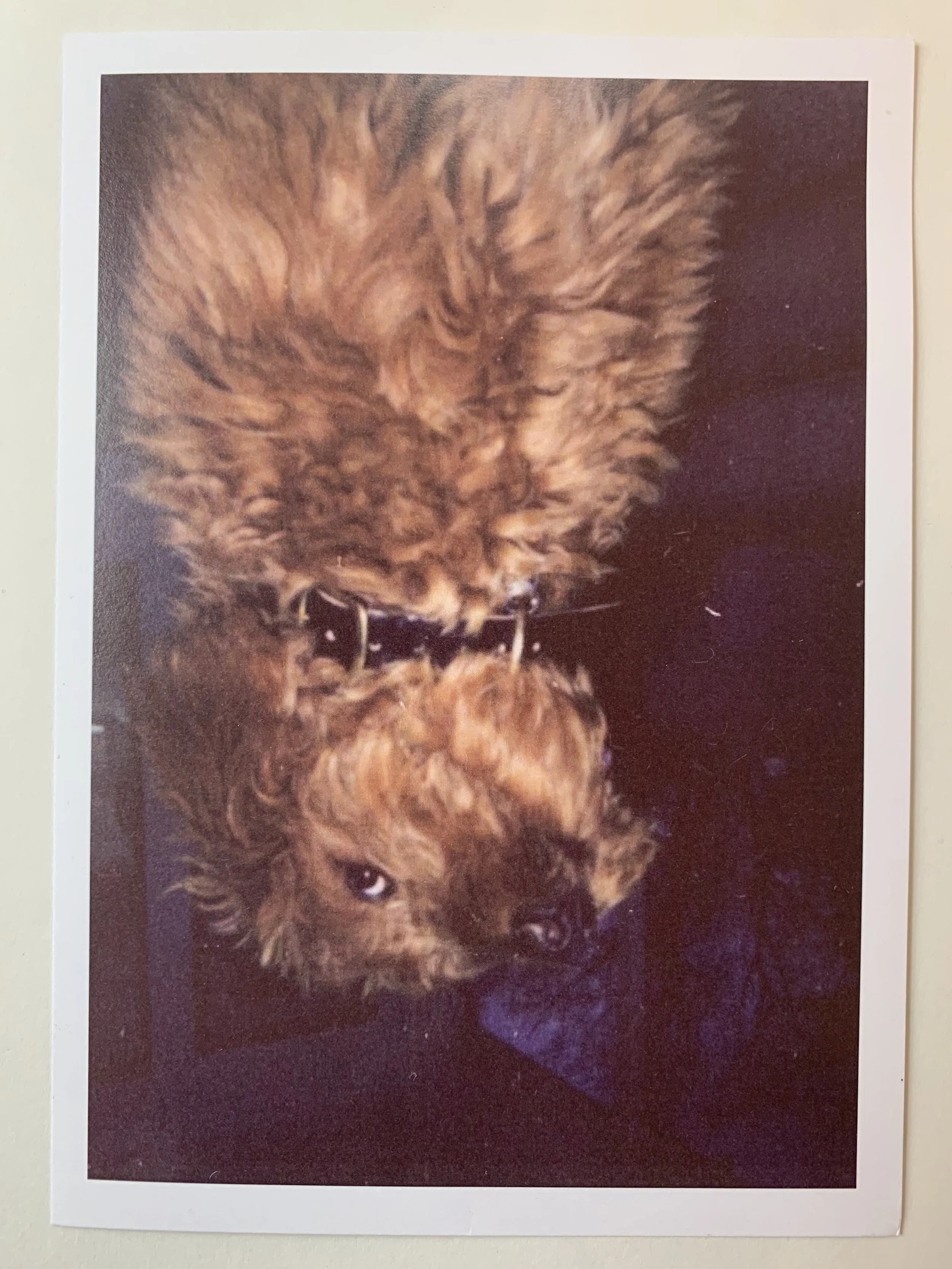 Ole Stockly and Stephanie Colasanti