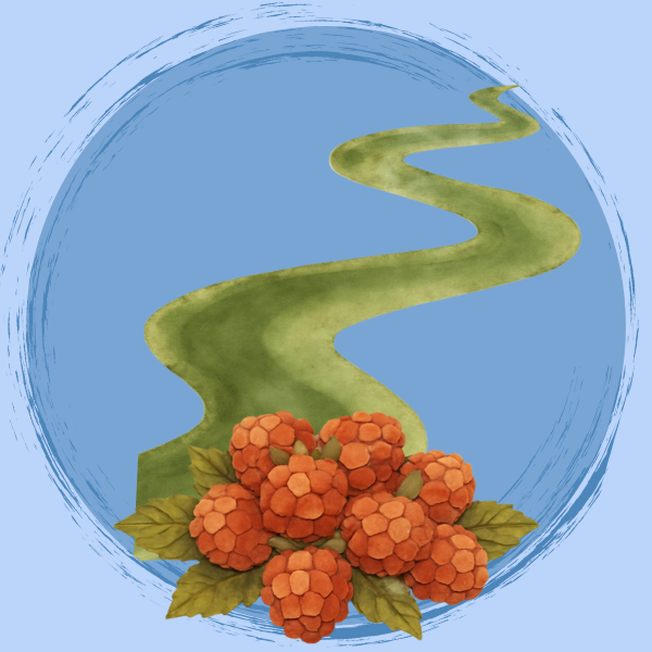 Salmonberry Counseling