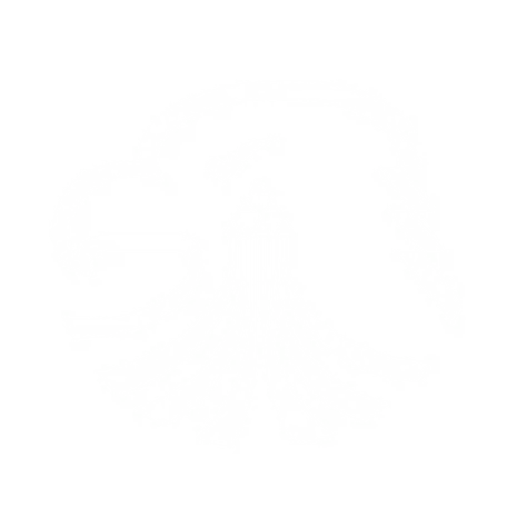 Virtual Black Eagles