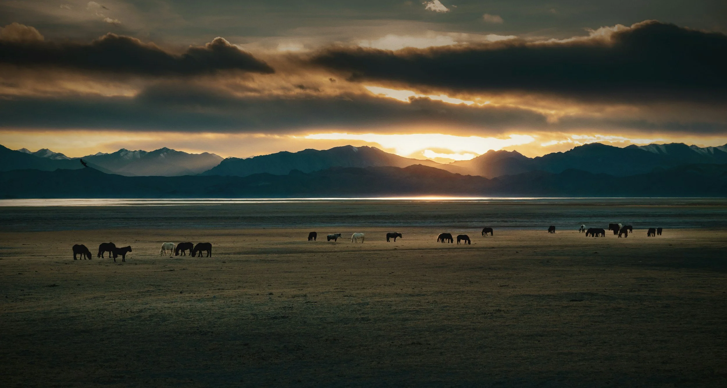 Cowboy with a horse in the mountains