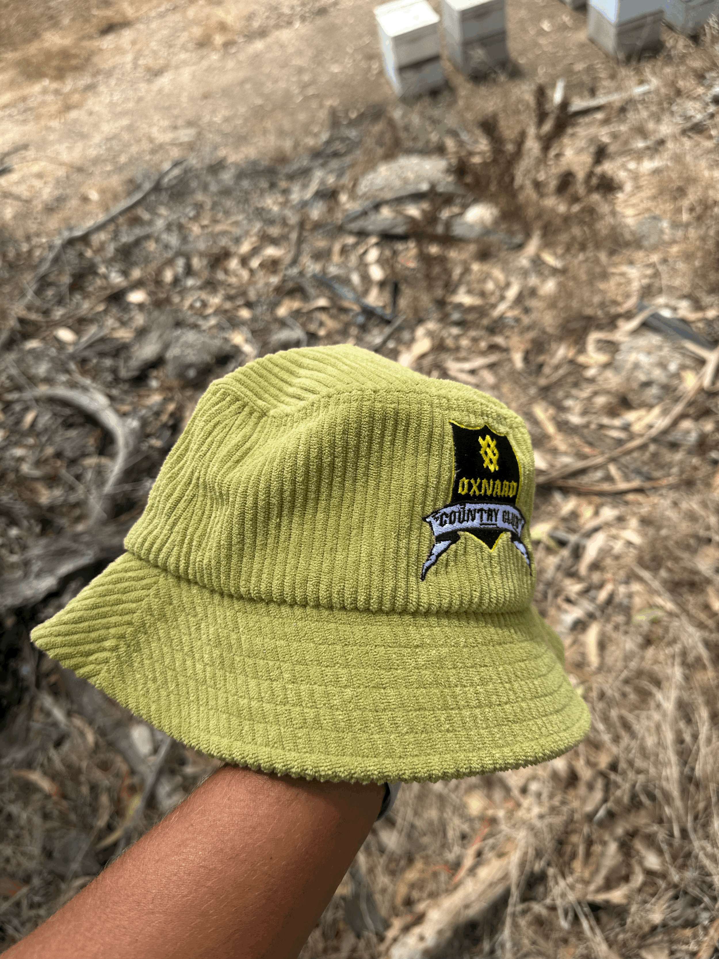 tempImageQFca6z.gif