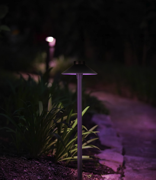 Pathway with illuminated garden lights and plants at night.