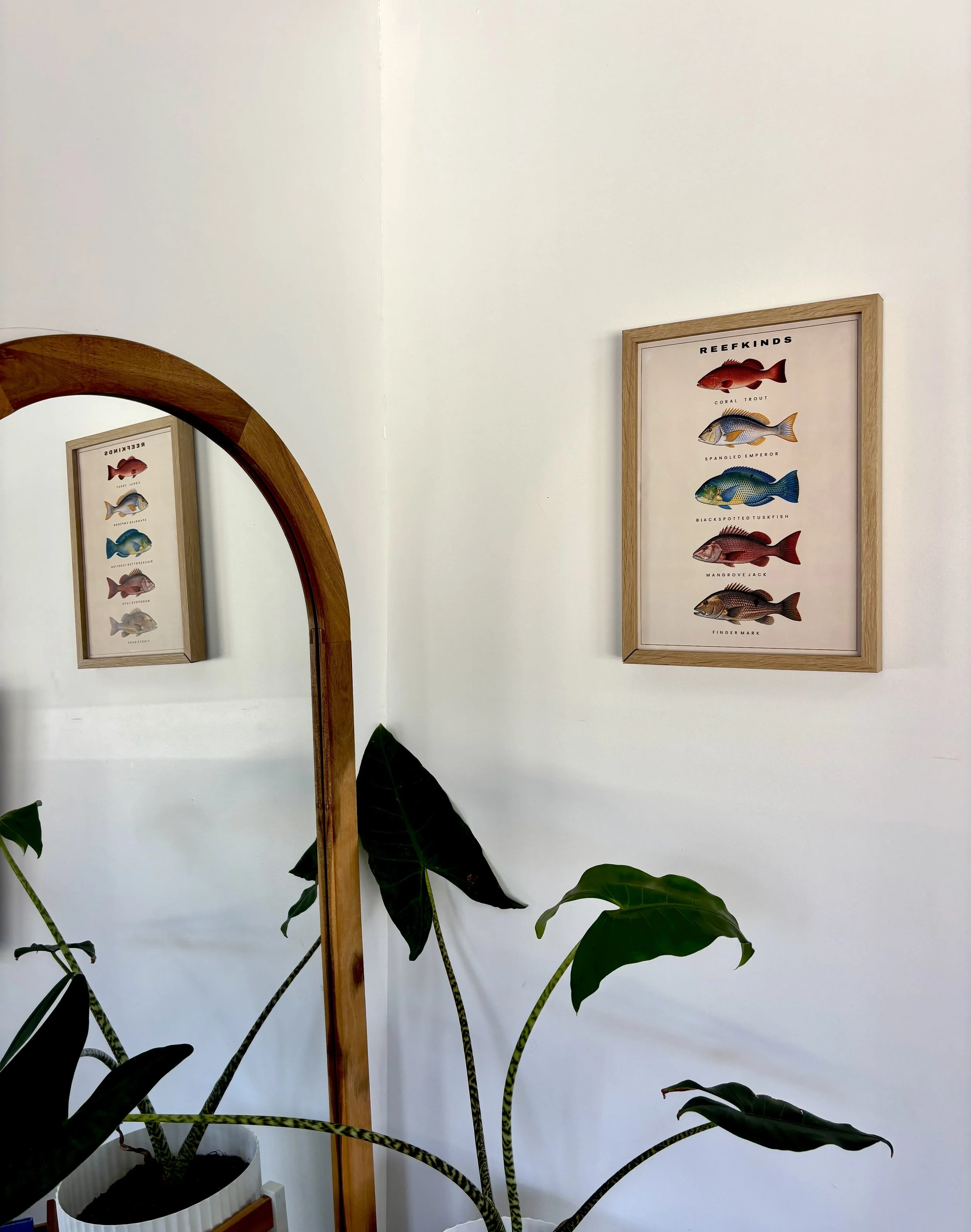 Reef Kinds species print