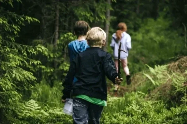 Three children walking on a forest trail, surrounded by green trees and foliage.