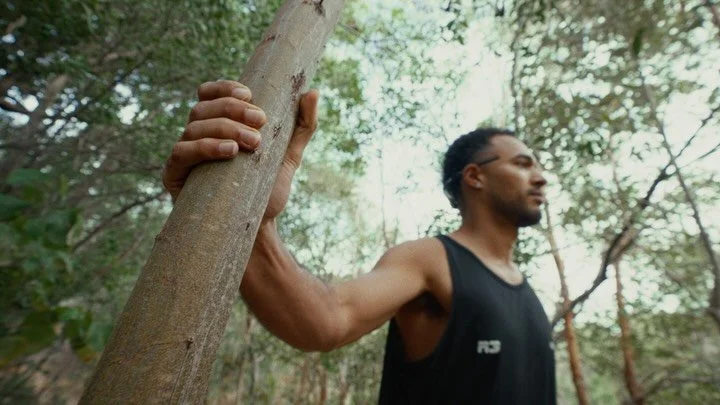 Frames from the bush with @harleygage