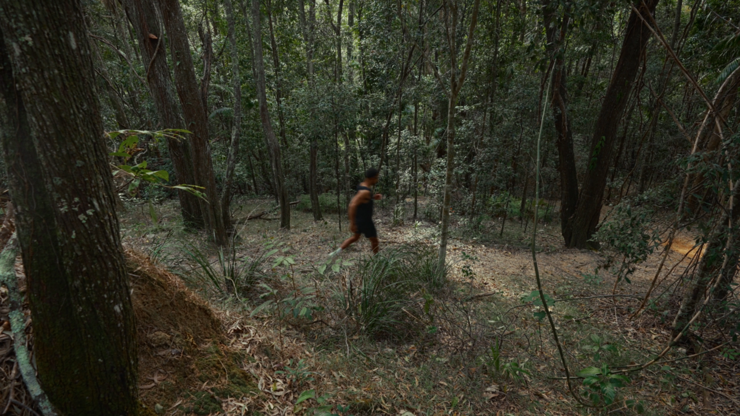 Sport videographer Gold Coast asdf.png