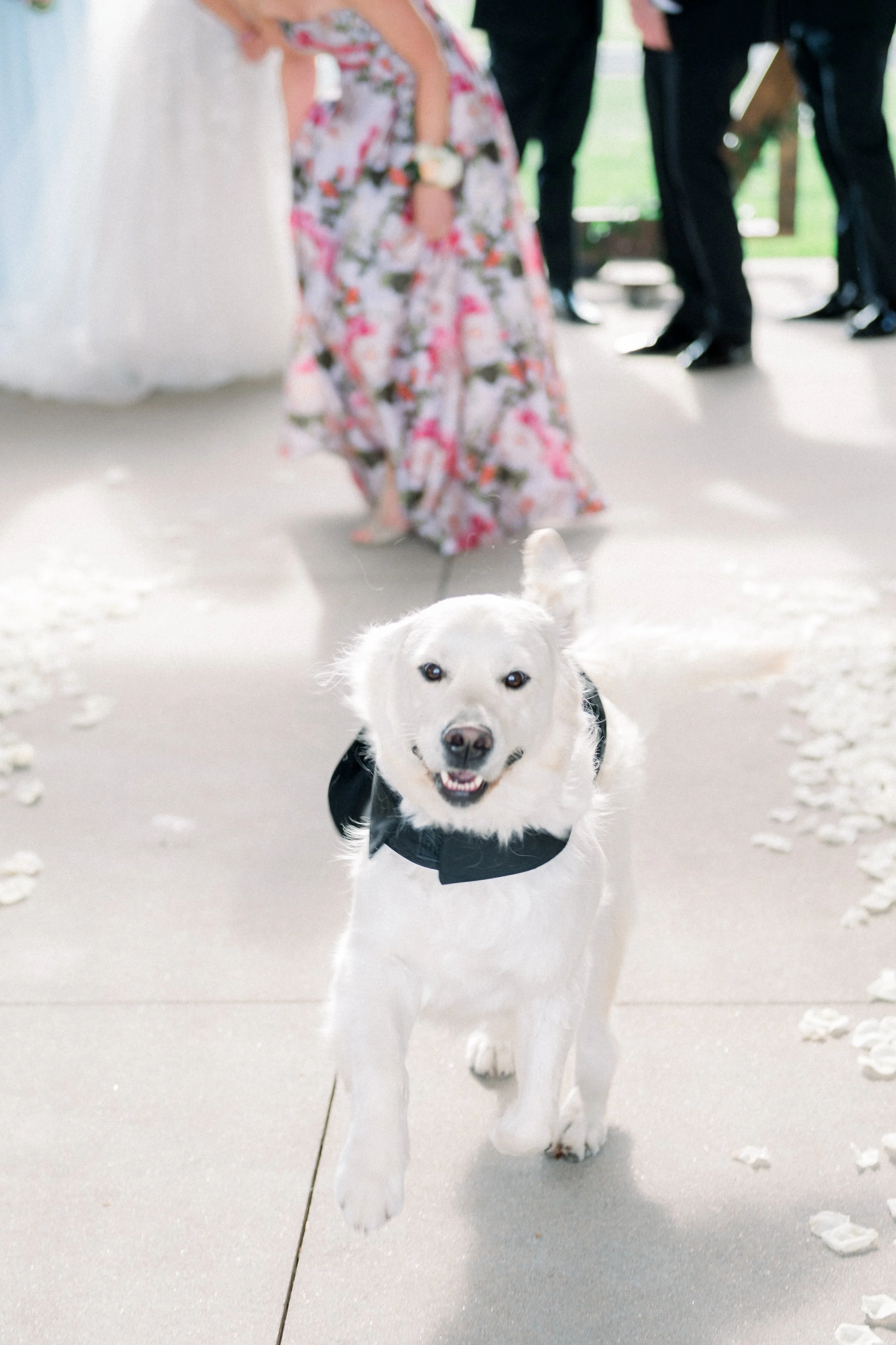 Grace&Zack-AllisonEasterling-463.jpg