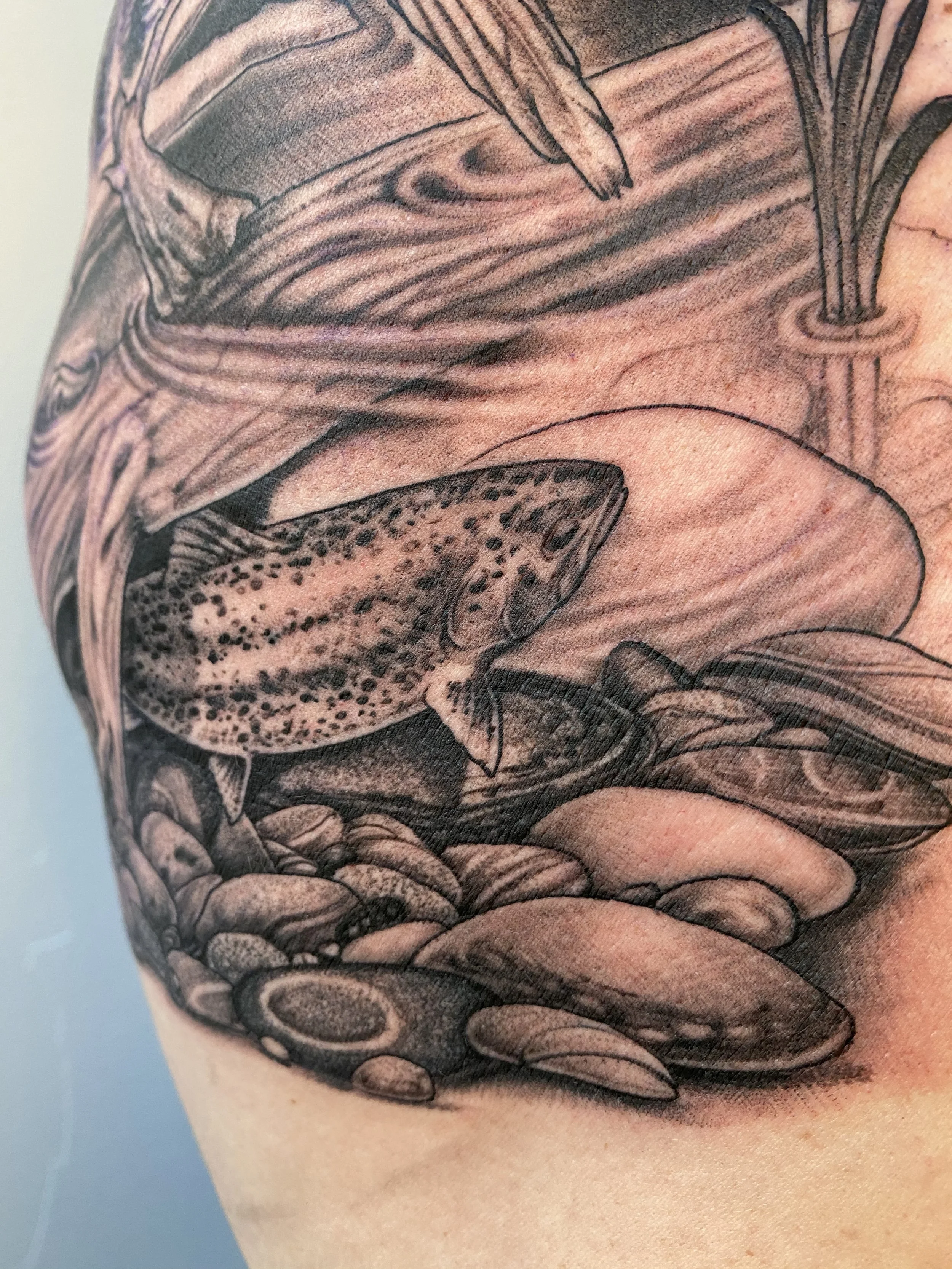 A black and gray tattoo of a fish swimming among rocks and pebbles on the side of a person's body.