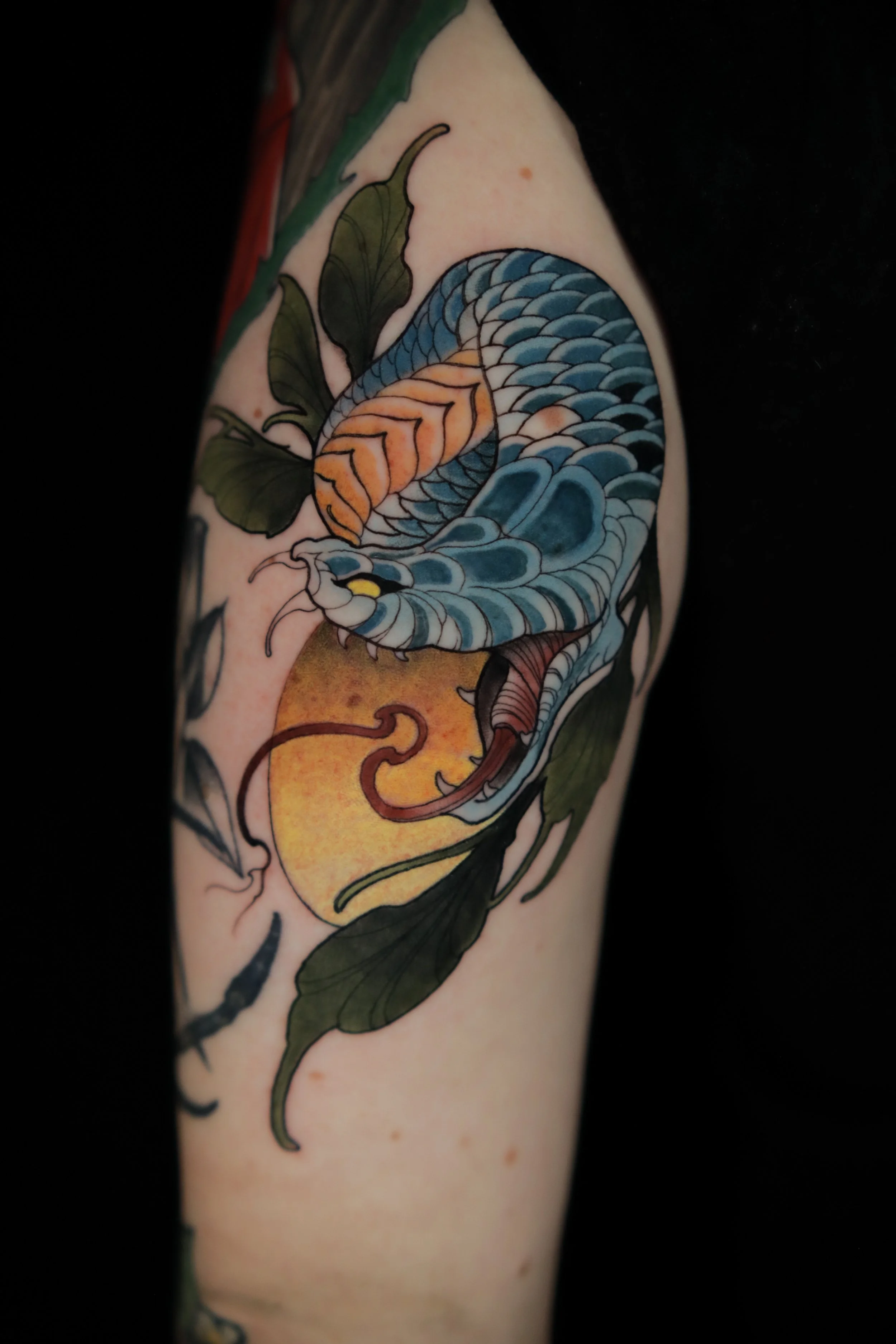 Tattoo of a blue and orange snake entwined with green leaves and a yellow circle on skin.