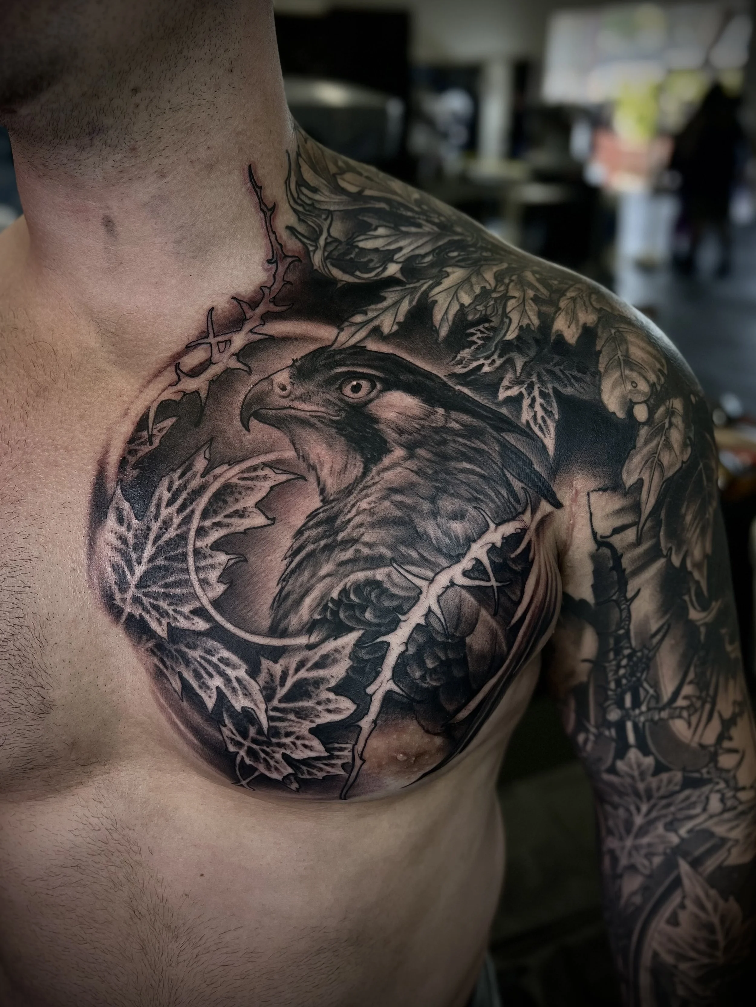 A detailed black and gray tattoo of a hawk's head surrounded by oak leaves and branches, covering the upper chest and shoulder.