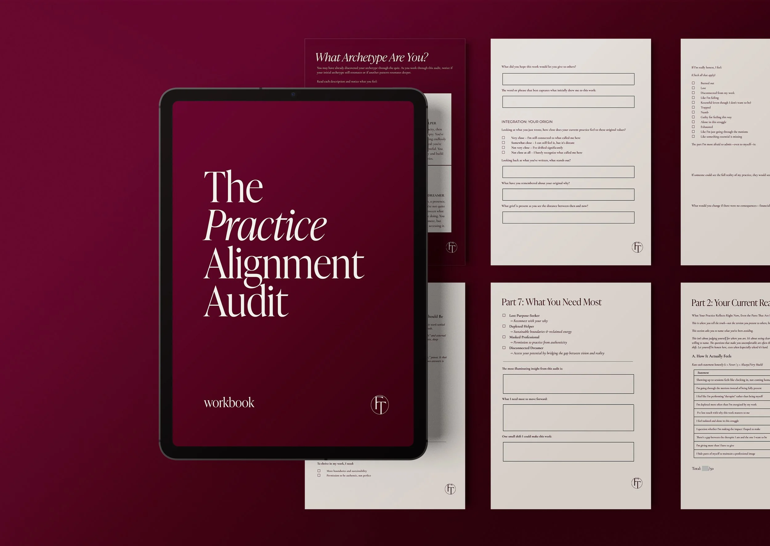 The Private Practice Audit Workbook