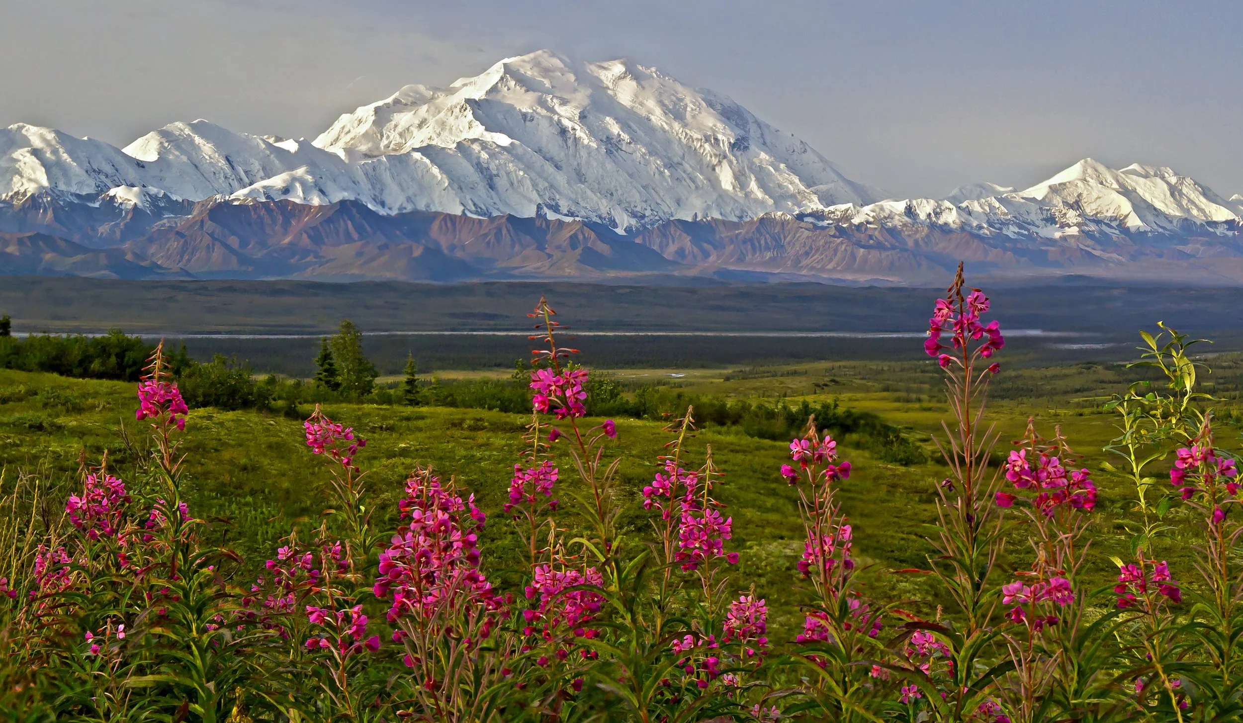 When to Visit Denali National Park (Complete Seasonal Guide)