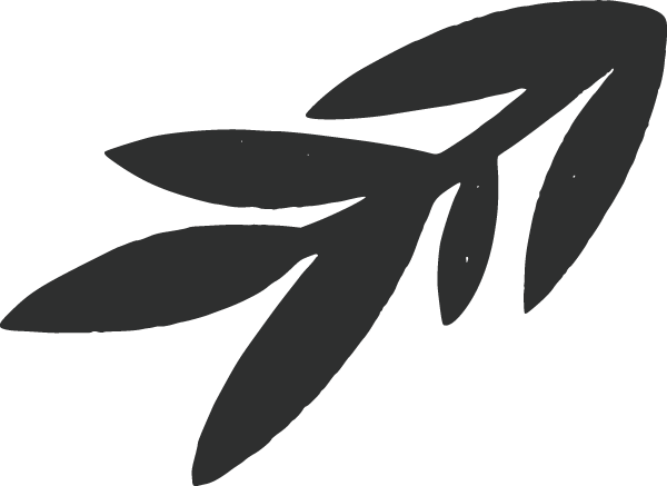 Illustration in charcoal of a branch with leaves