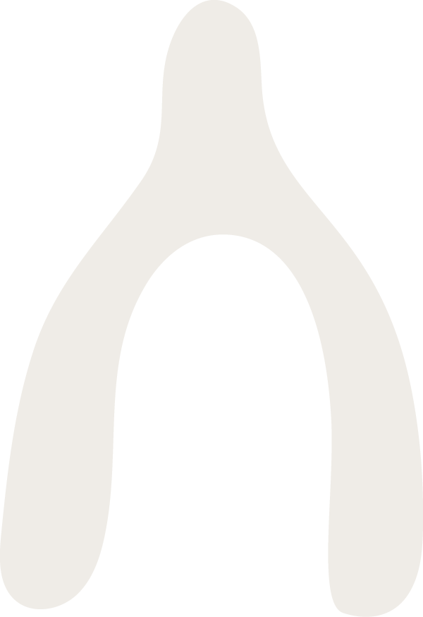 Cream wishbone illustration