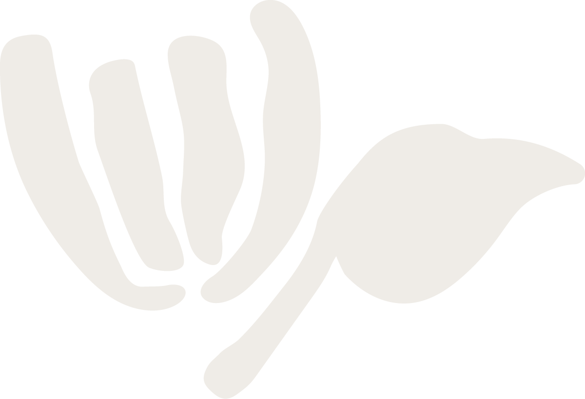 Cream flower illustration