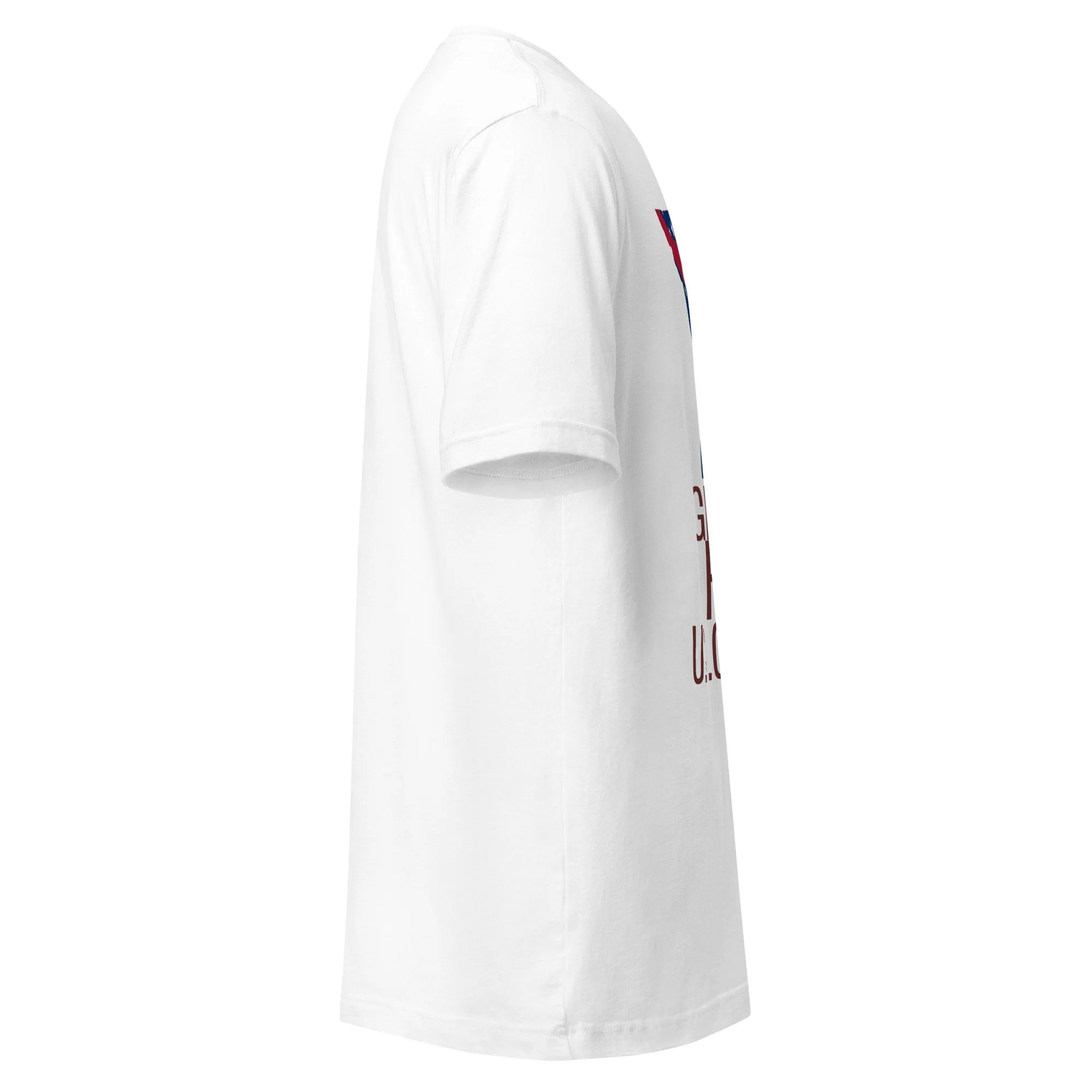 unisex-staple-t-shirt-white-right-6a4b04a11ab15.jpg
