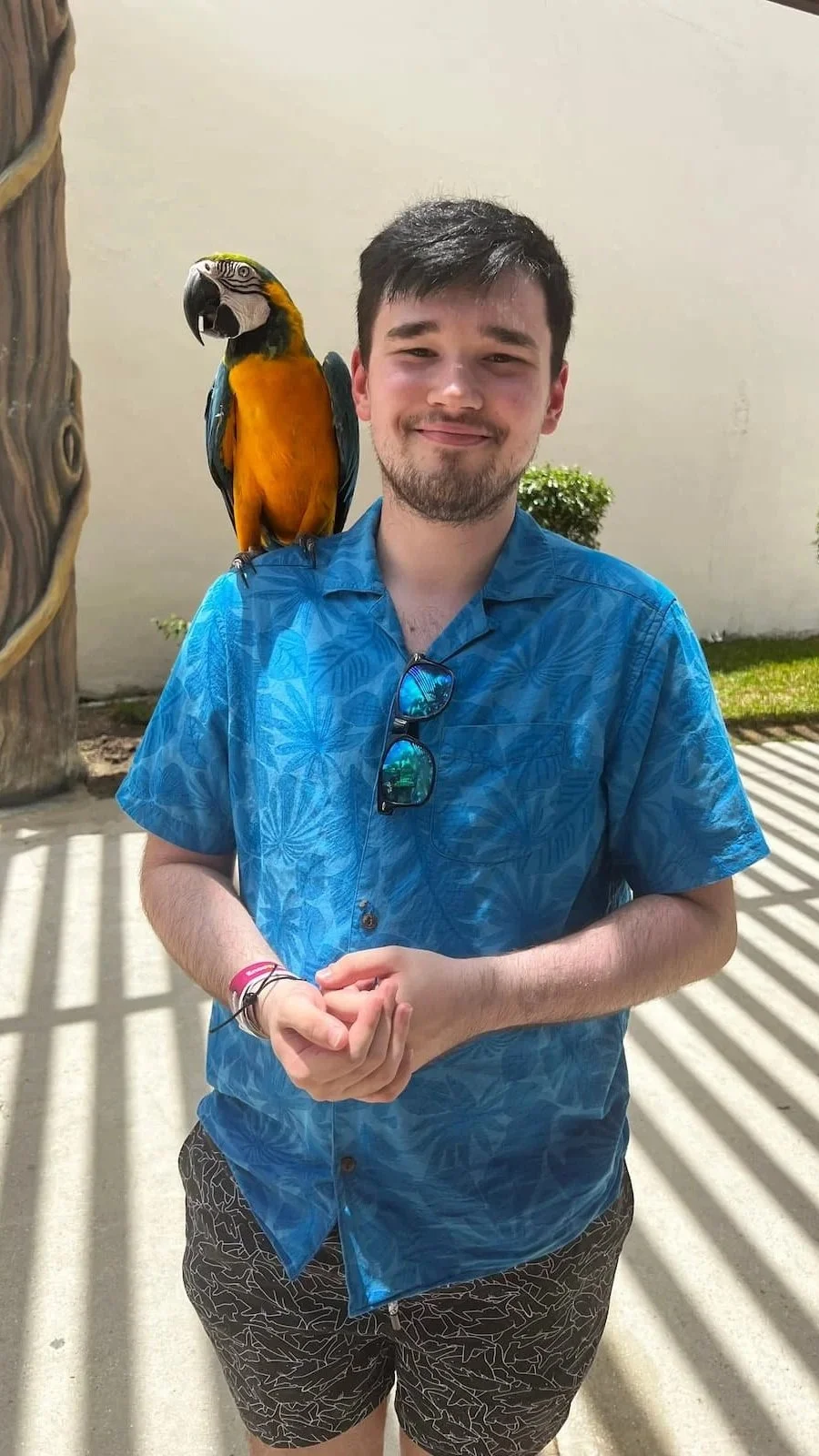 A young man with short dark hair and a beard, wearing a blue tropical shirt and patterned shorts, stands outdoors next to a wall with shadows, smiling with sunglasses hanging from his shirt collar, while a colorful macaw parrot perches on his shoulder.