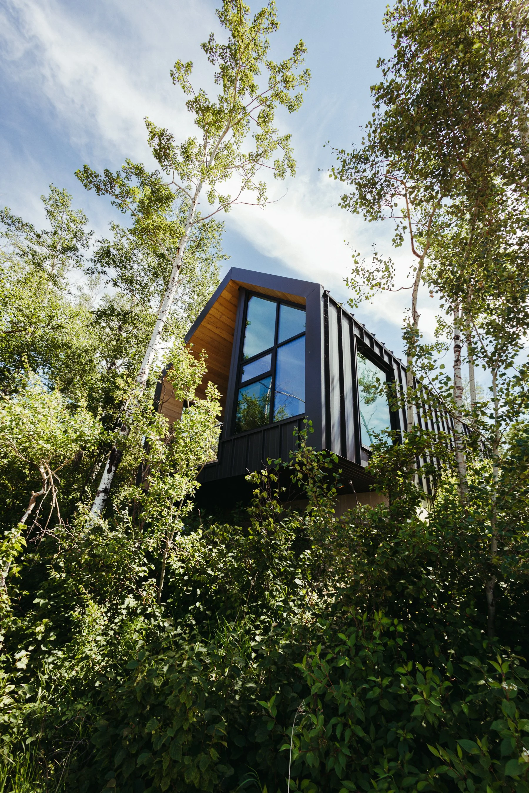 Modern house with large glass windows, surrounded by tall trees and greenery, under a partly cloudy sky.