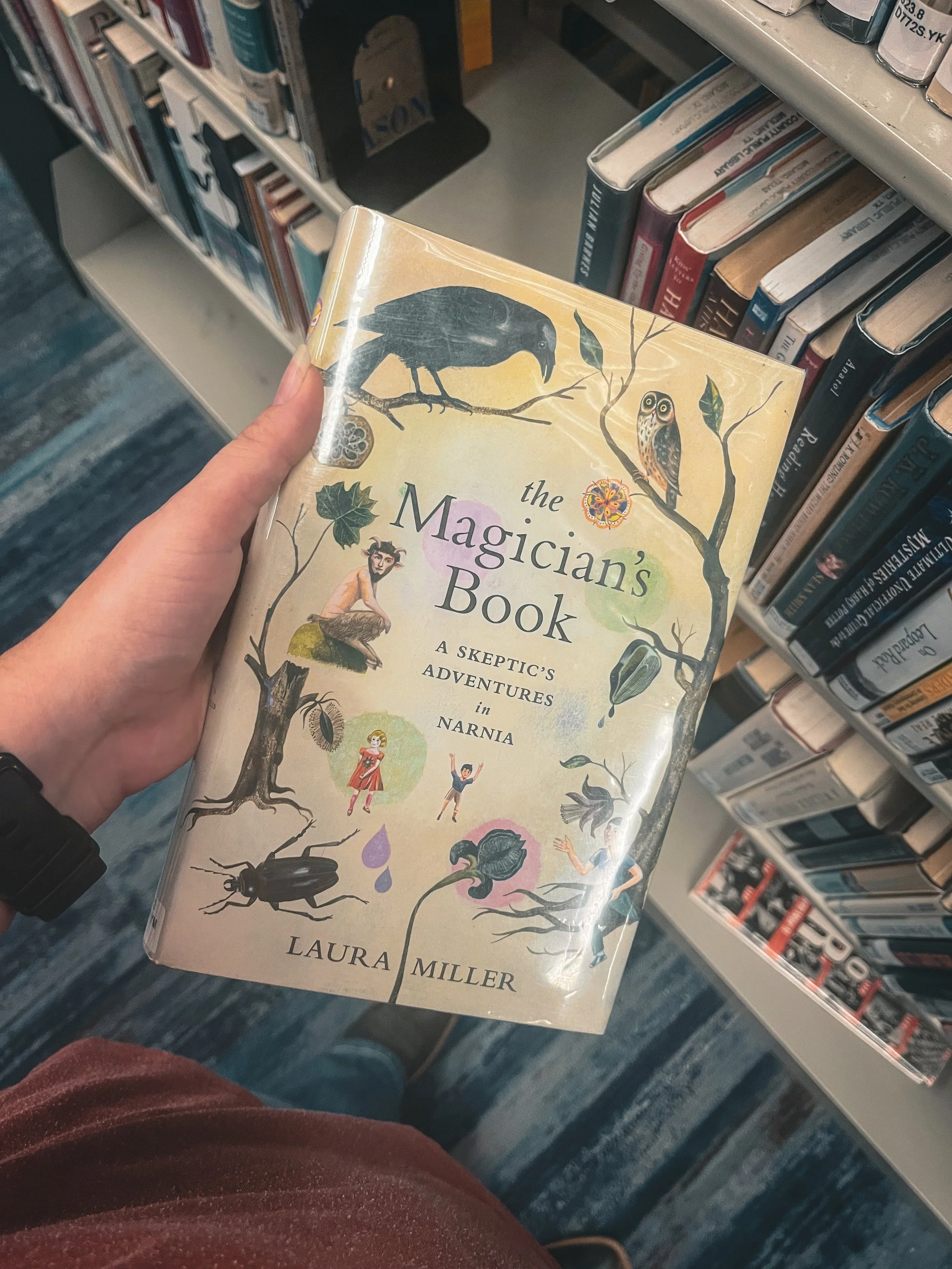 New Narnia Movie?? Field notes on a World yet unopened 