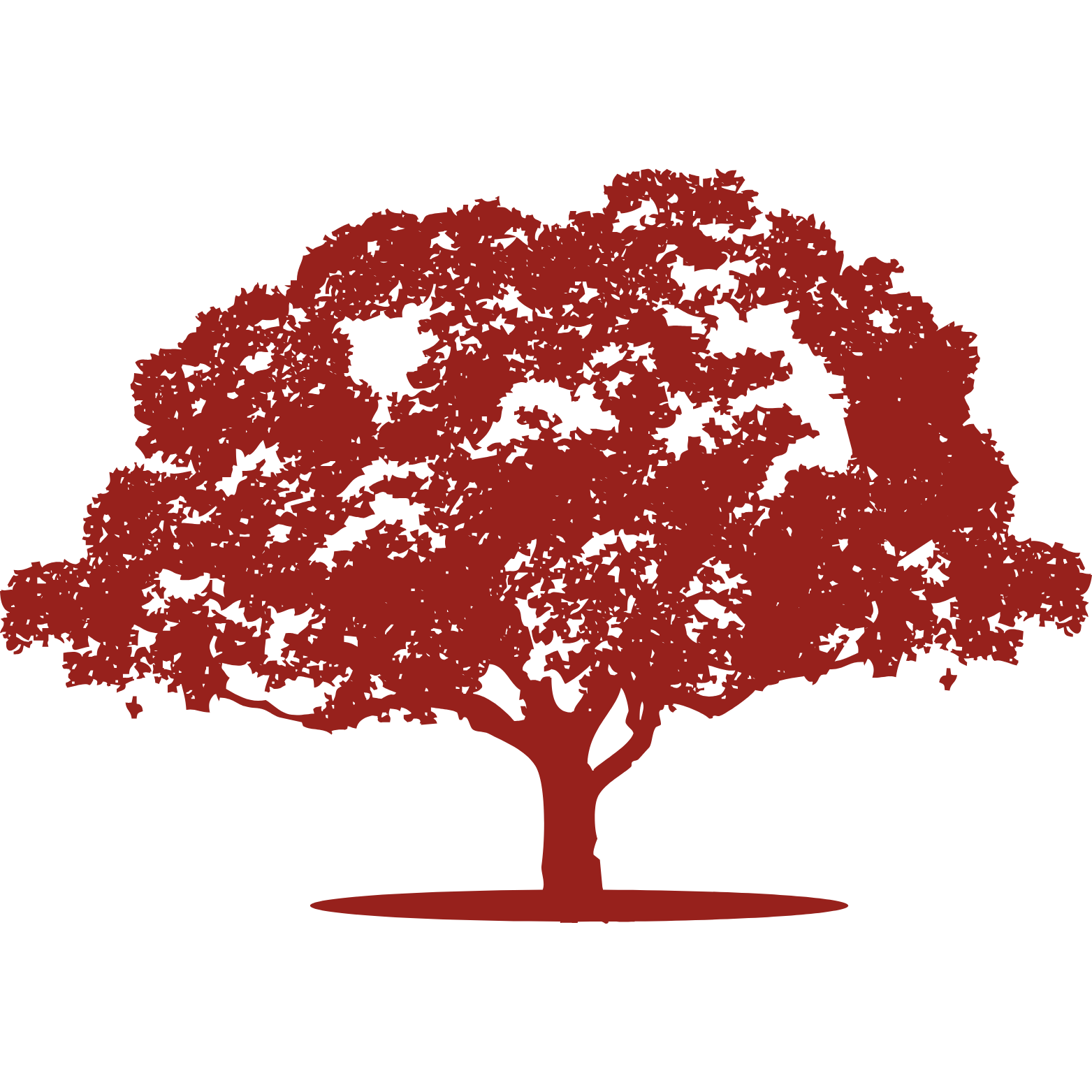 A silhouette of a large Oak tree with a full canopy of leaves, colored in Gamecock red, set against a transparent background.